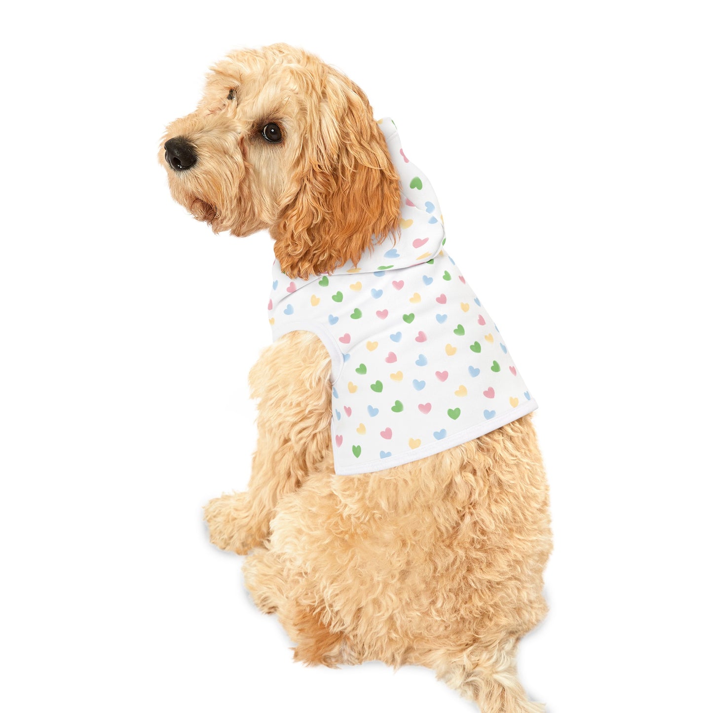 Hearts Pet Hoodie