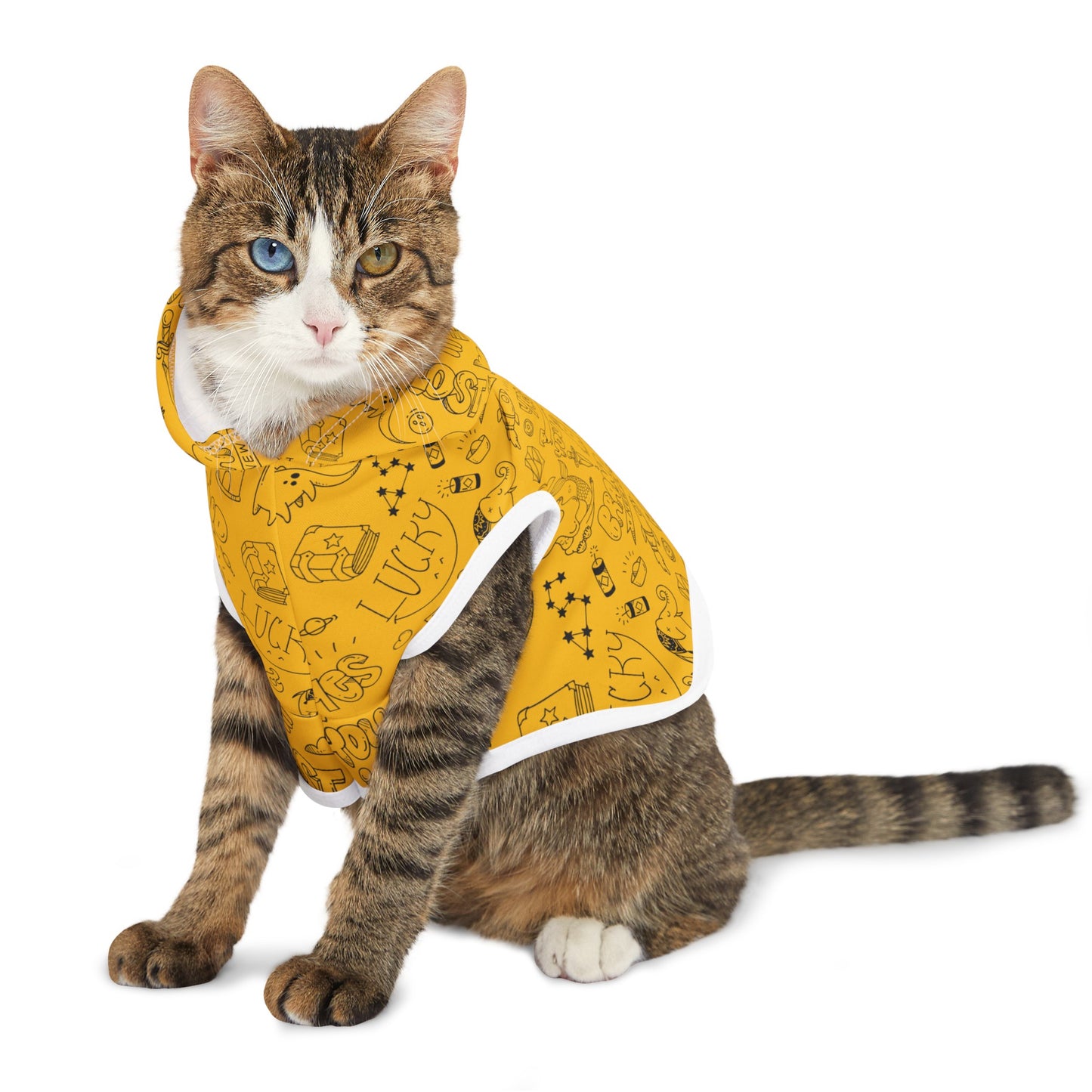 Doodle Pet Hoodie