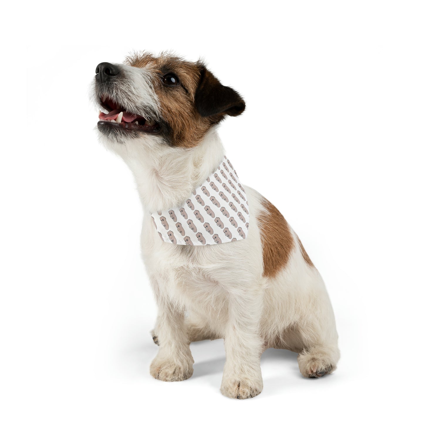 Charlie Pet Bandana Collar