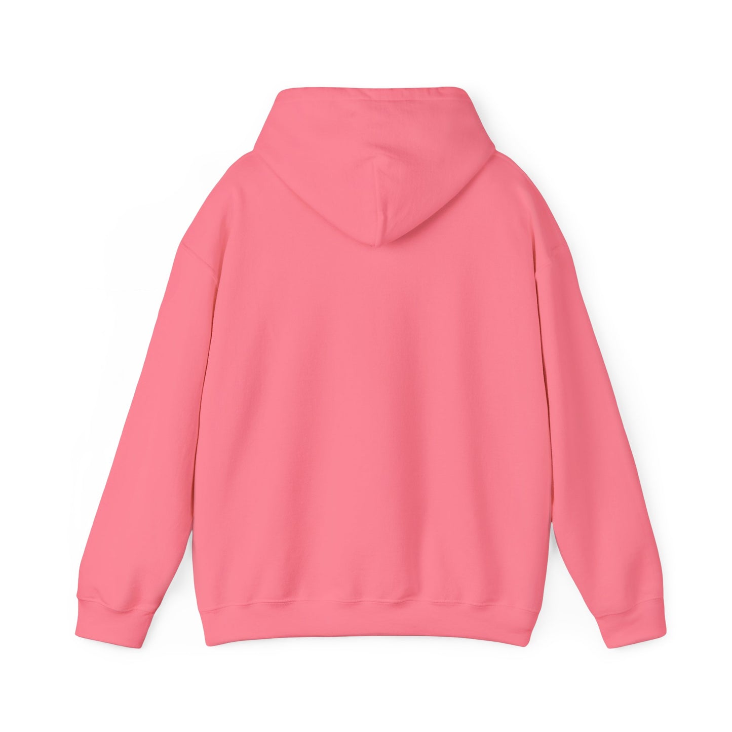 Rudy's Truth Hooded Sweatshirt