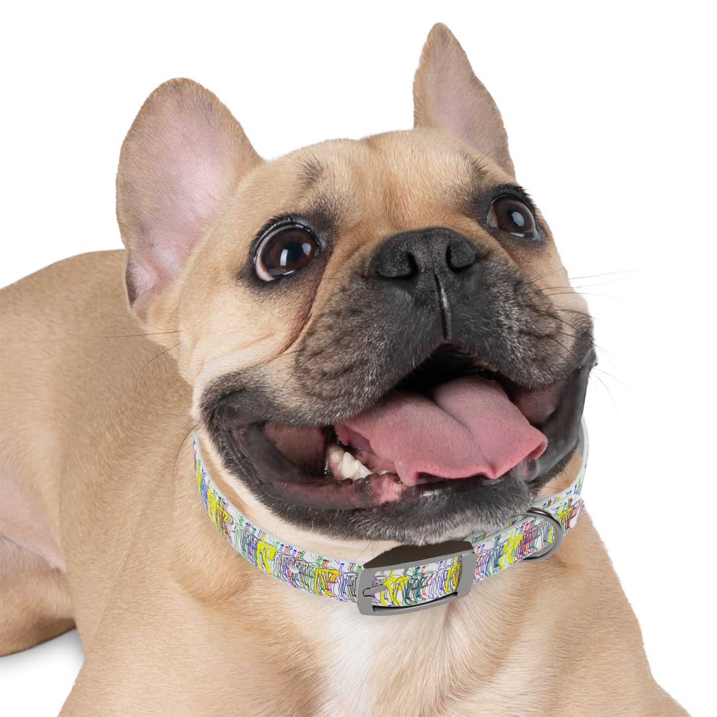 Dog wearing Patsy multicolor patterned collar smiling close up