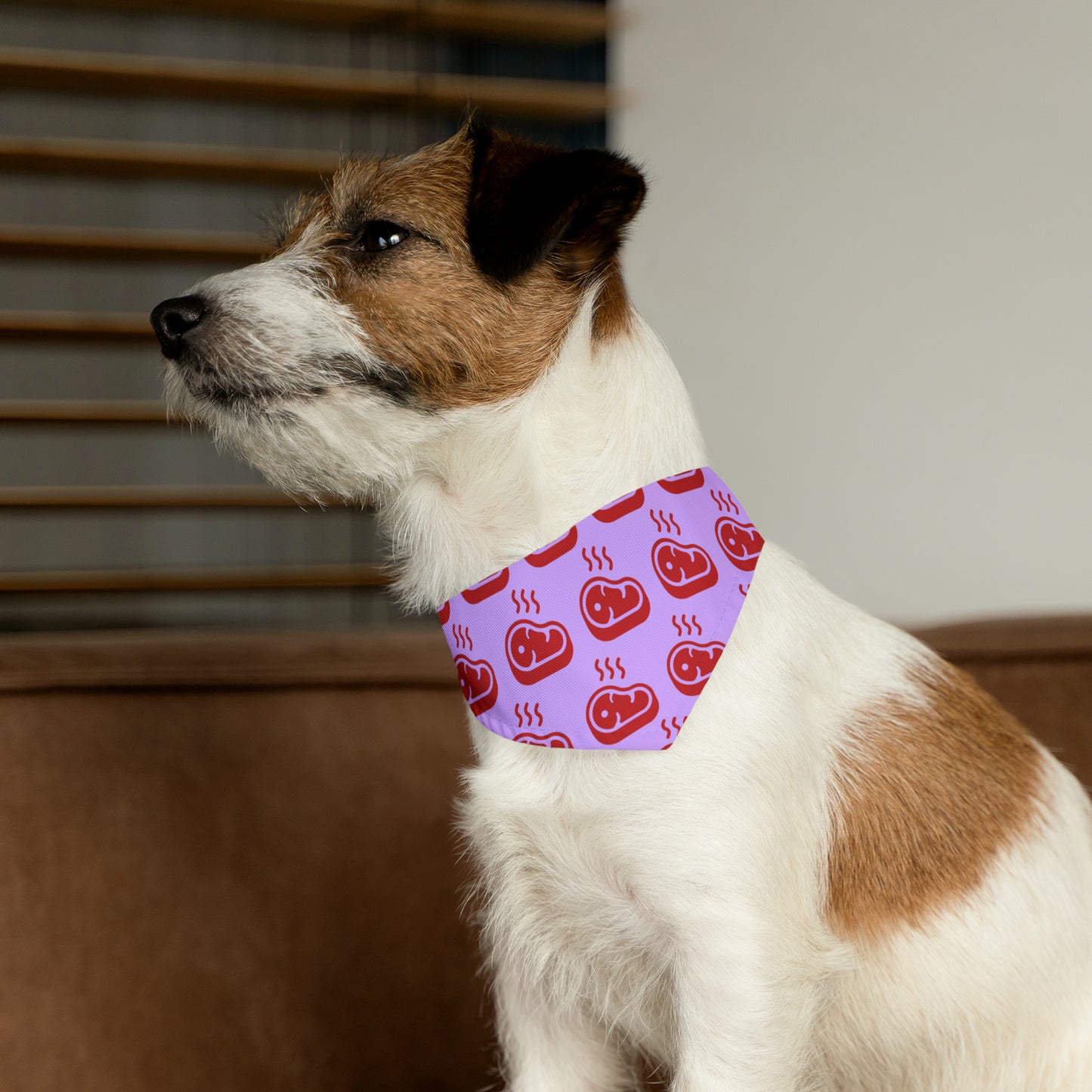 Beef Bandana Collar