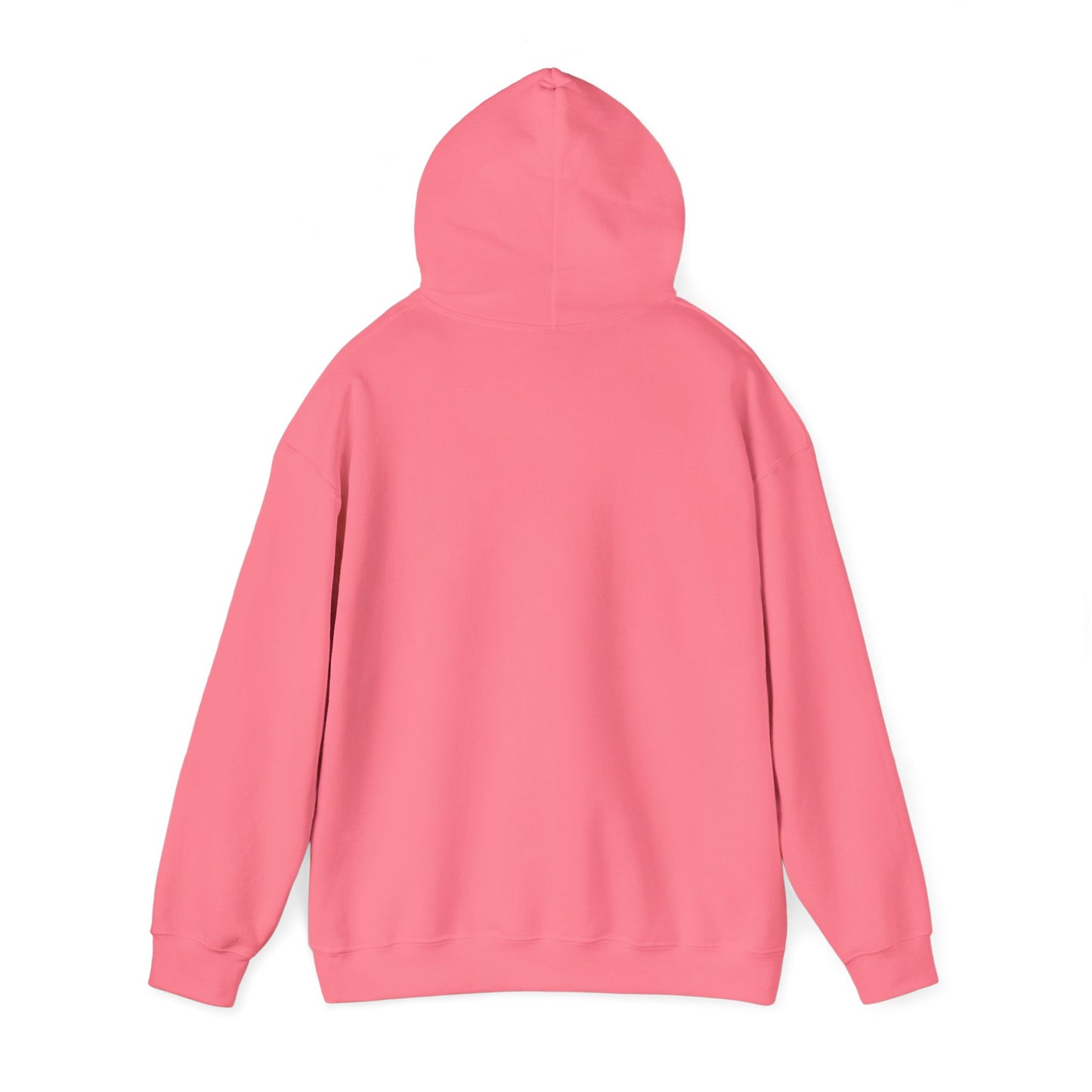 Rudy's Truth Hooded Sweatshirt