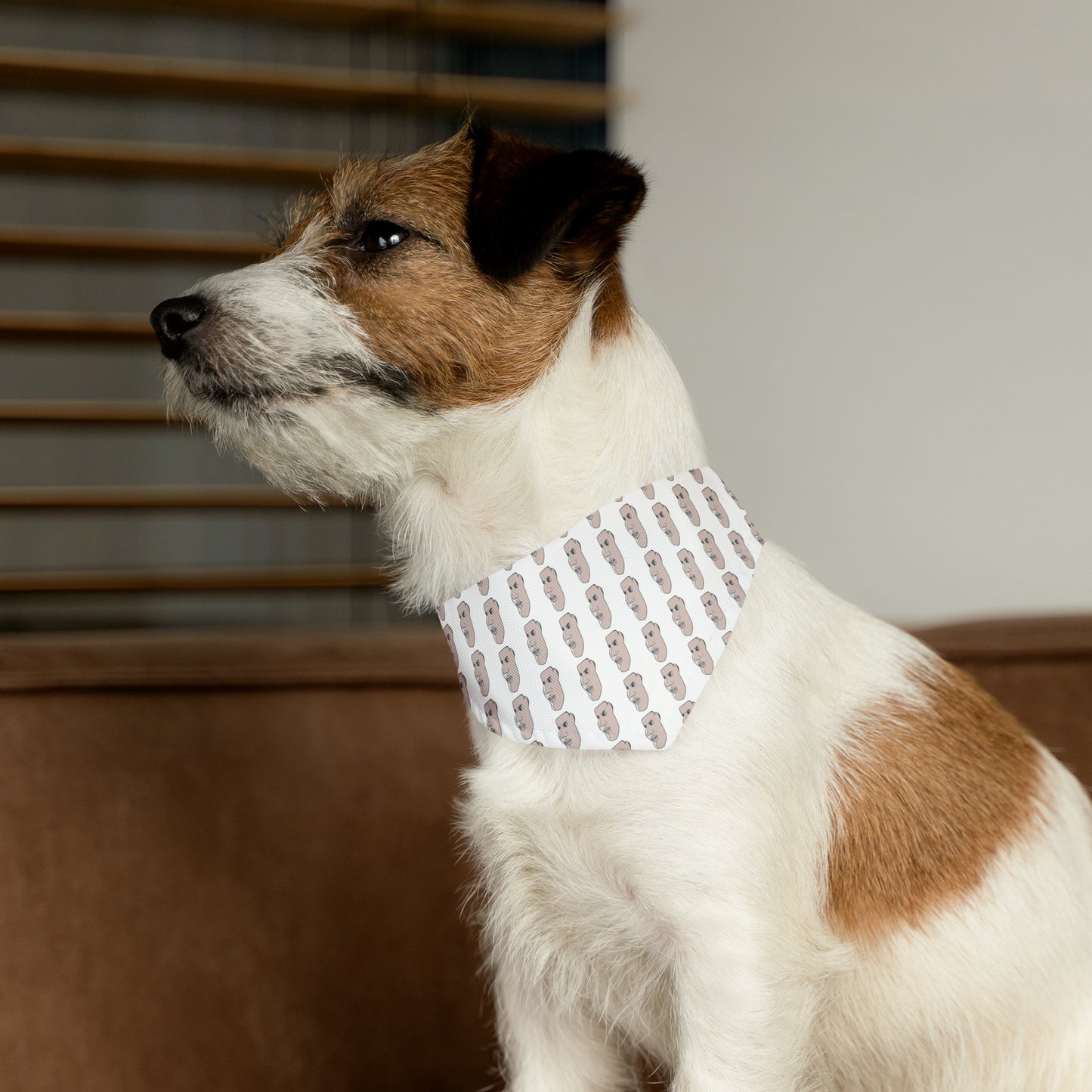Charlie Pet Bandana Collar