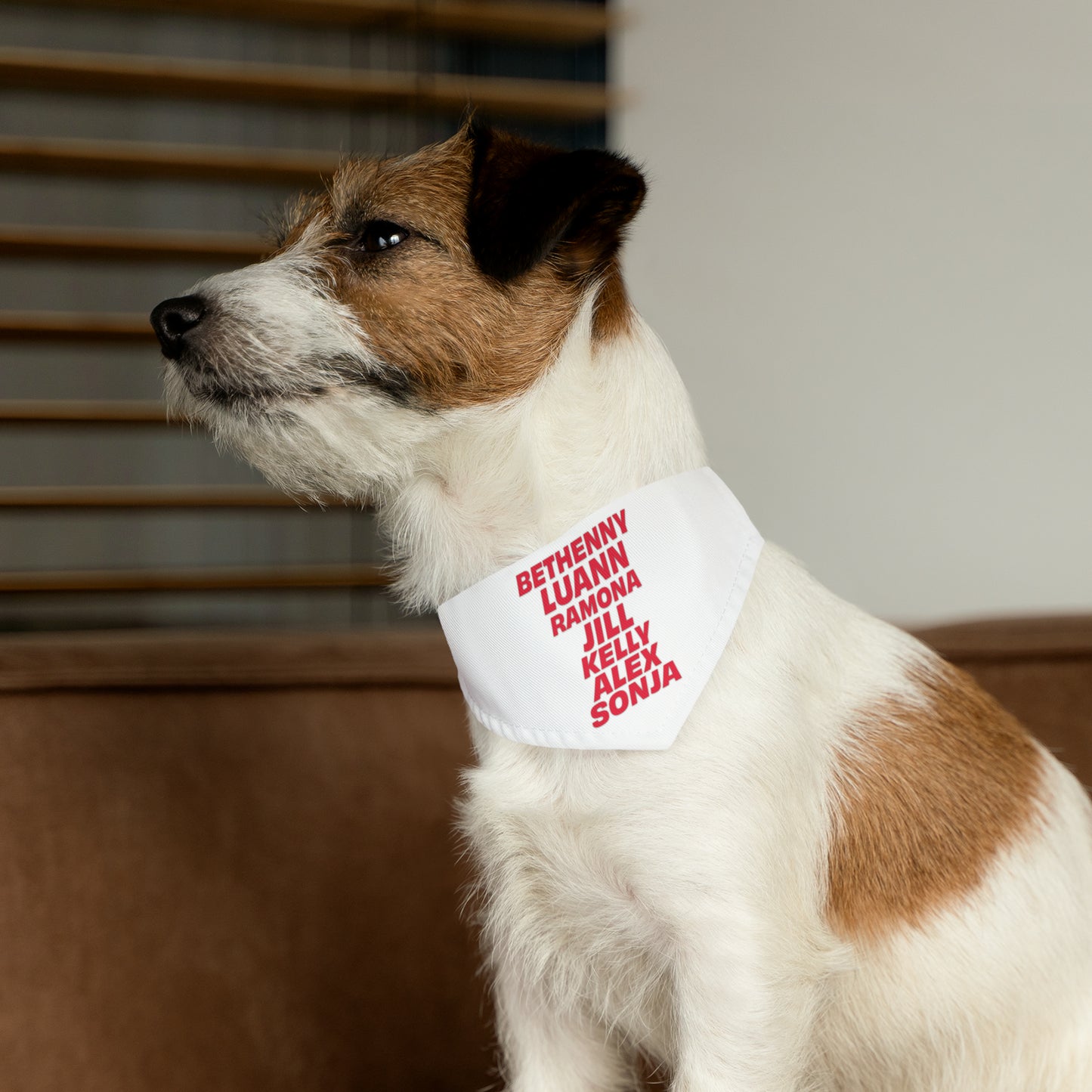 dog wearing OG NY housewives pet bandana collar indoor lifestyle side profile