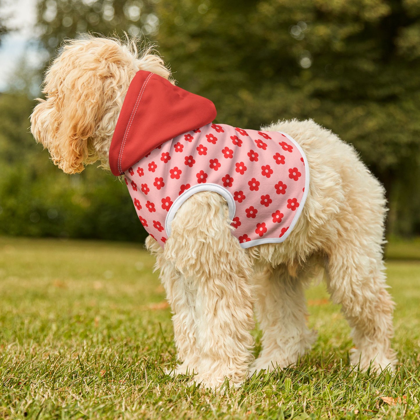 Dog wearing a red and pink floral outfit standing on grass with trees in the background
