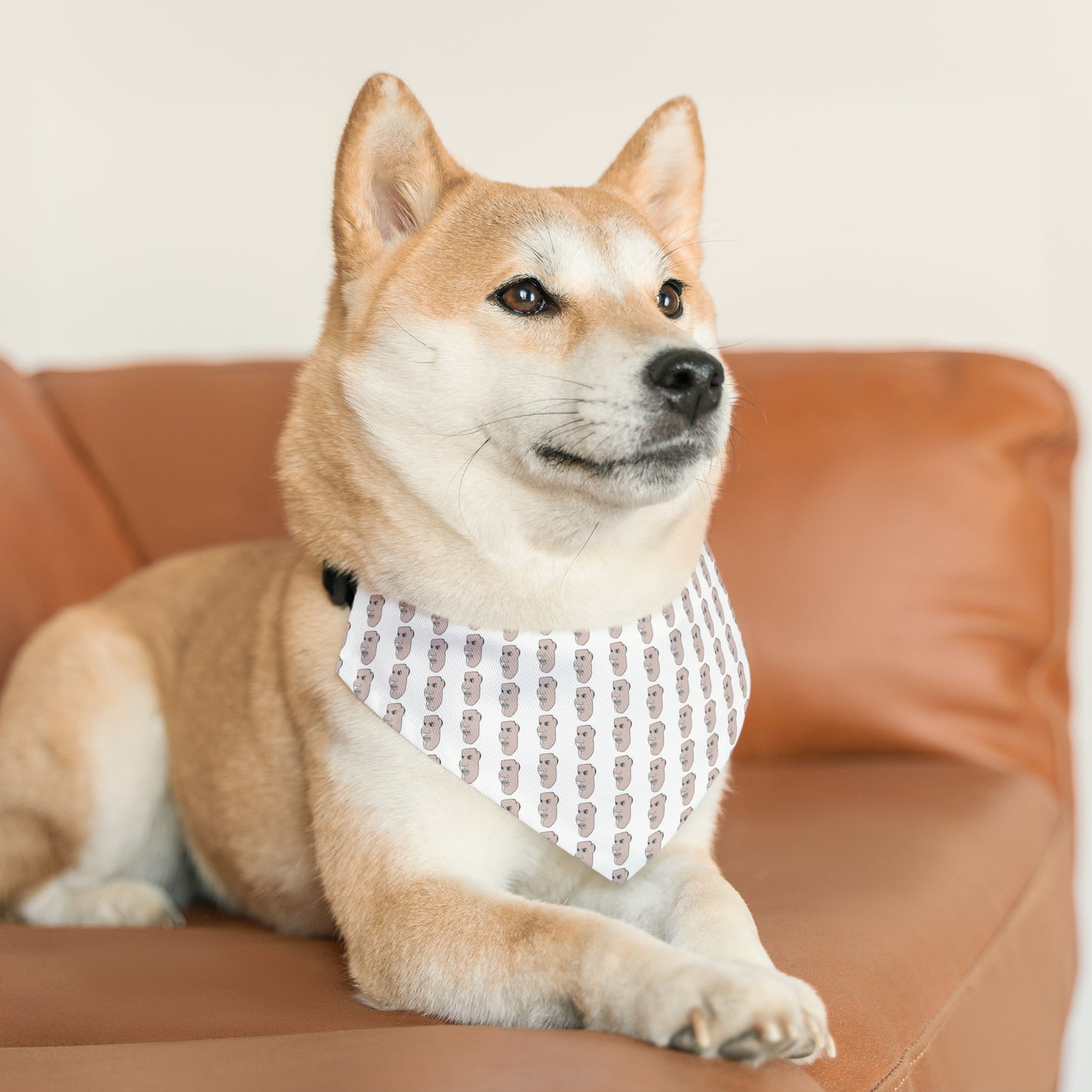 Charlie Pet Bandana Collar