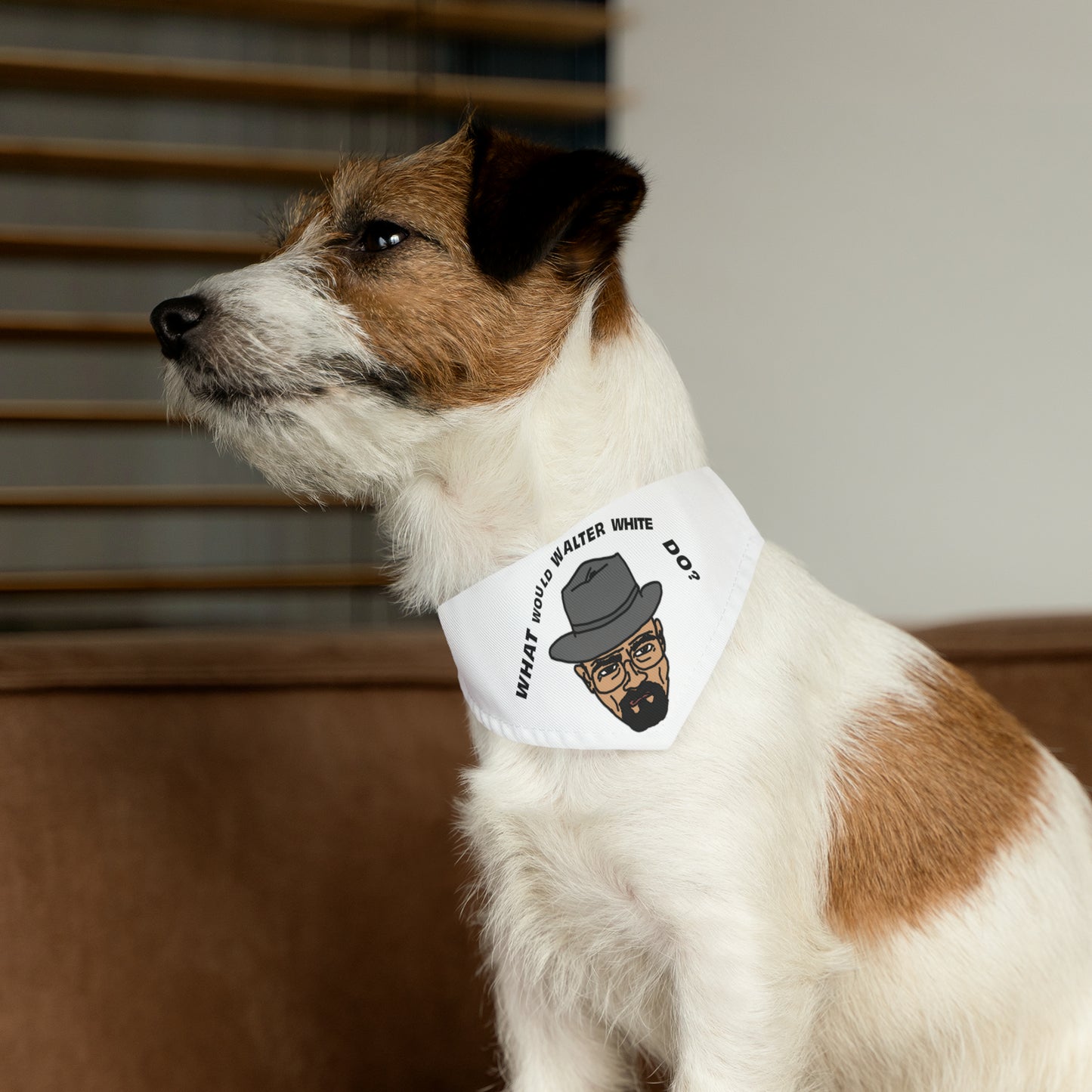 What Would Walter White Do? Pet Bandana Collar