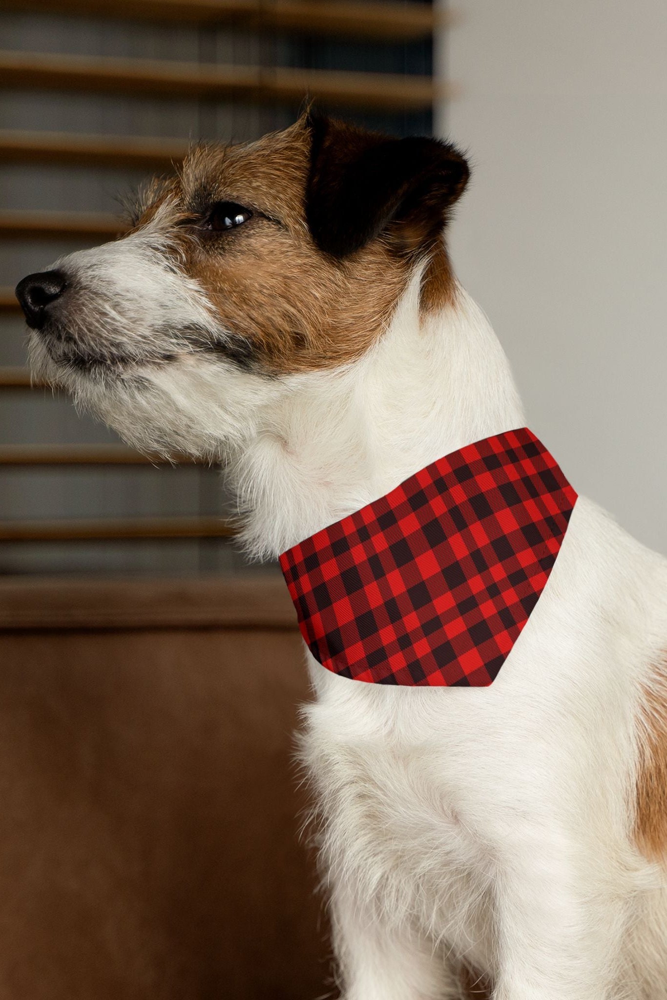Dog wearing red and black plaid bandana collar indoors side view