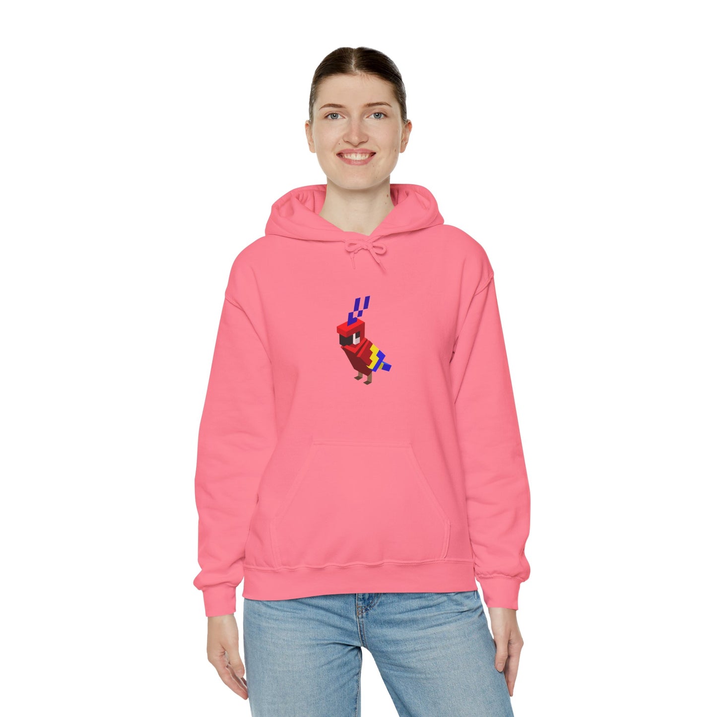Arcade Parrot Hooded Sweatshirt