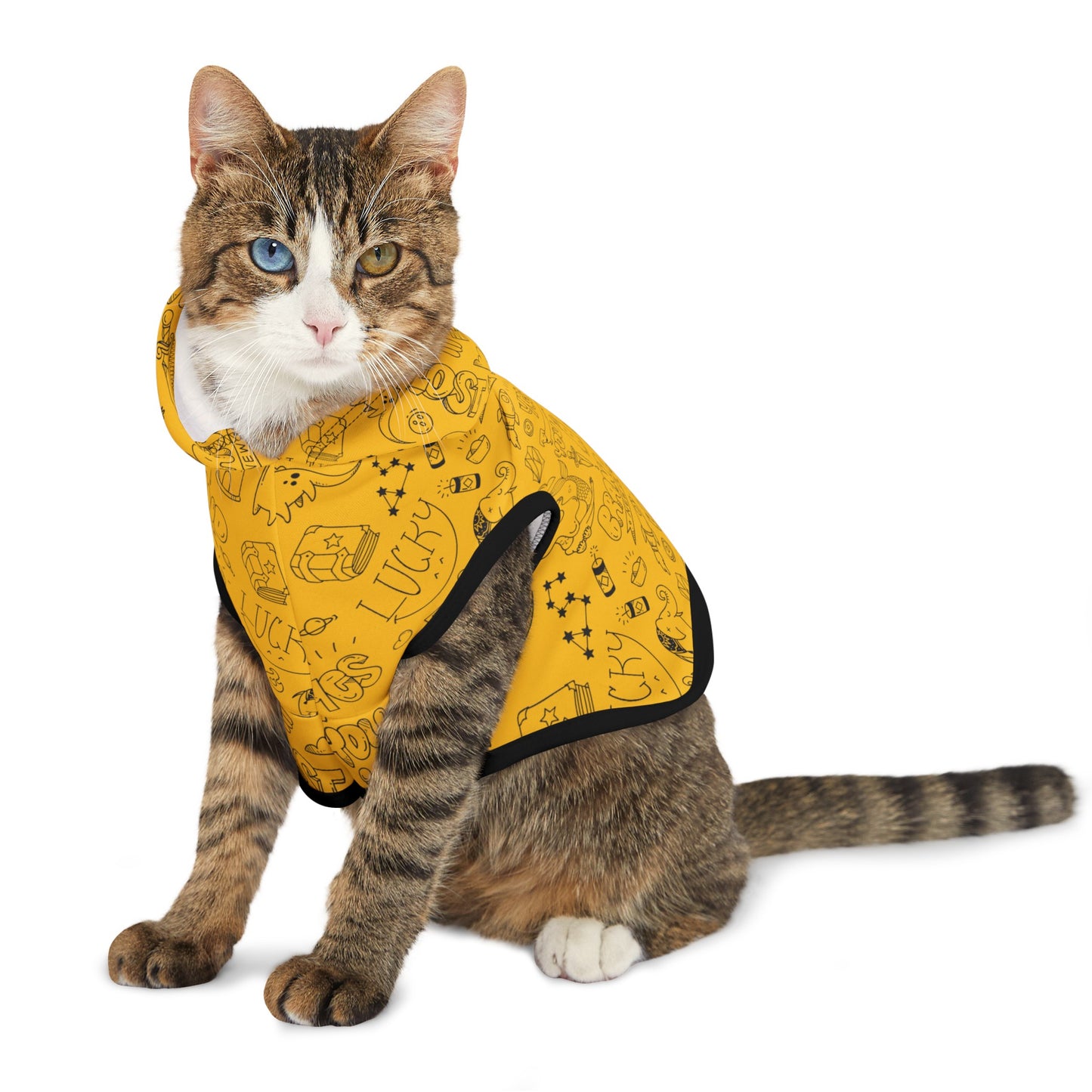 Doodle Pet Hoodie