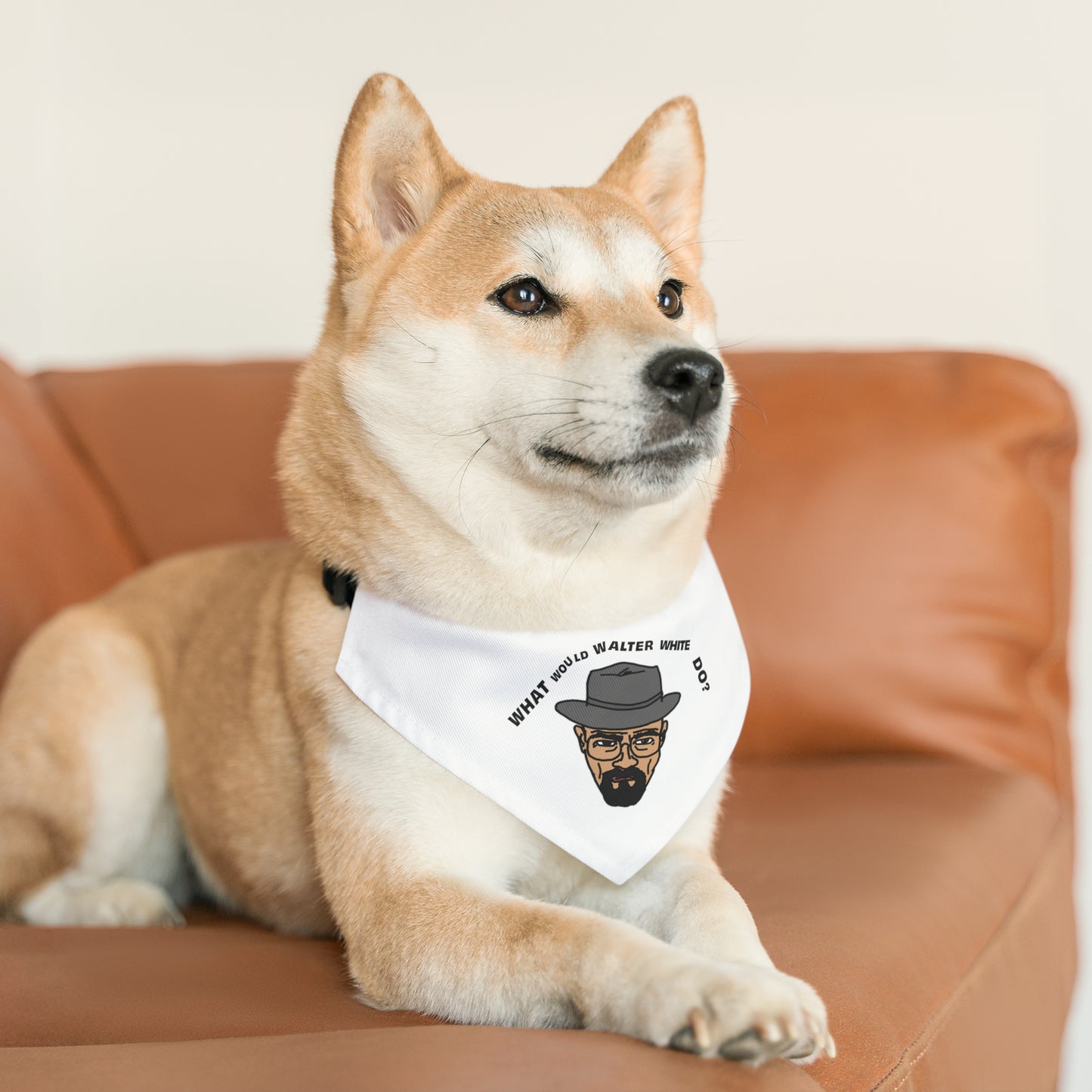 What Would Walter White Do? Pet Bandana Collar