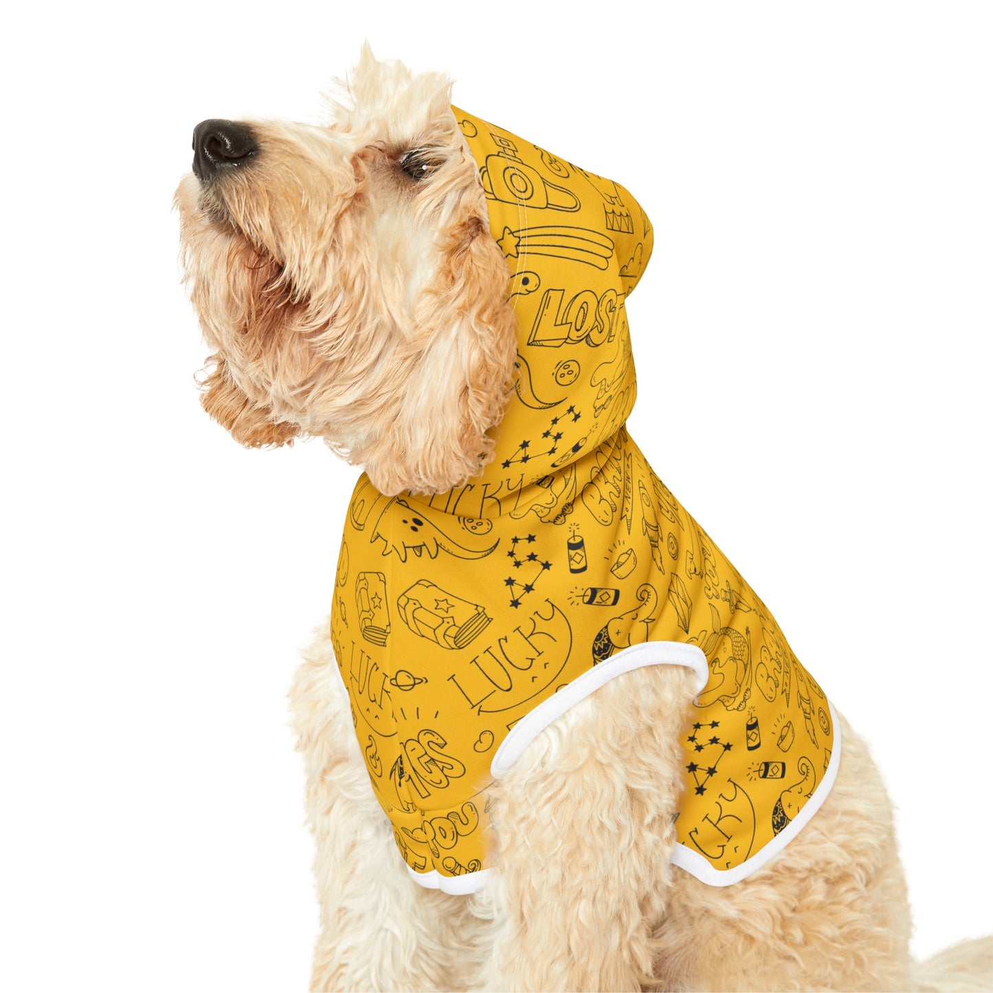 Doodle Pet Hoodie