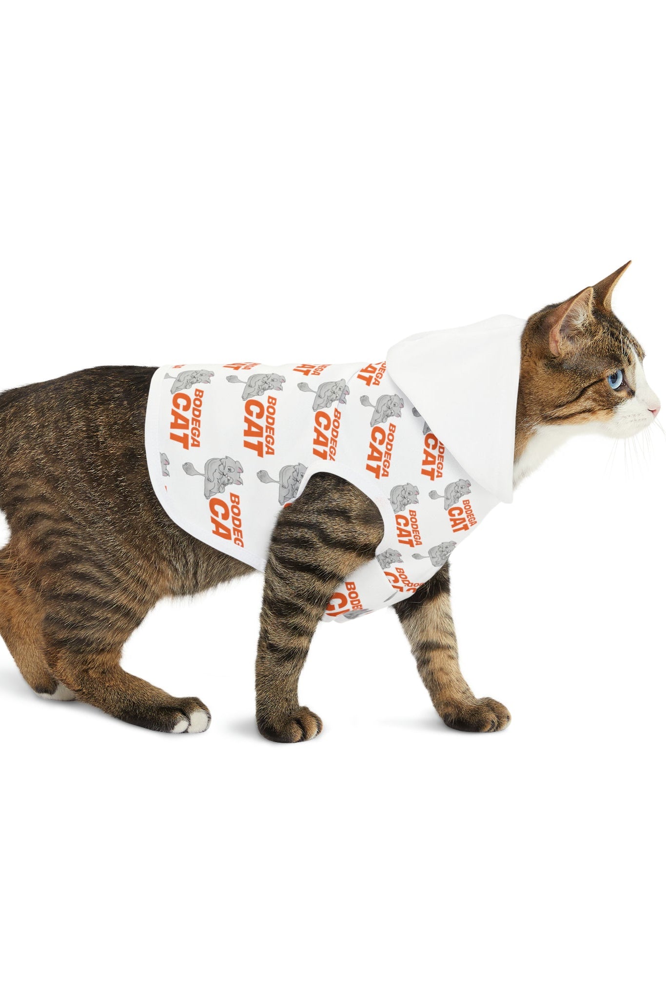 Cat walking while wearing NYC bodega cat pet hoodie