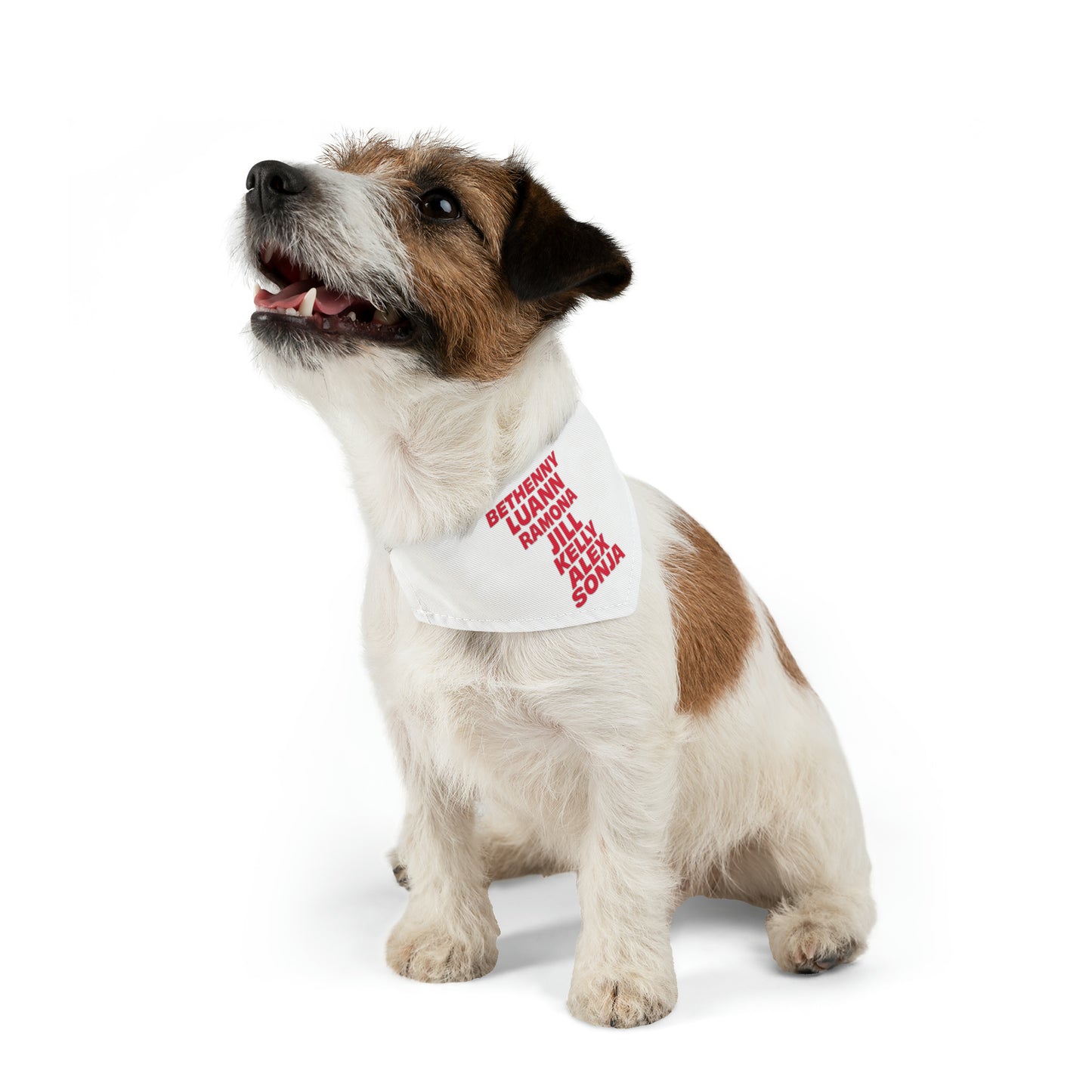 OG NY Housewives Pet Bandana Collar