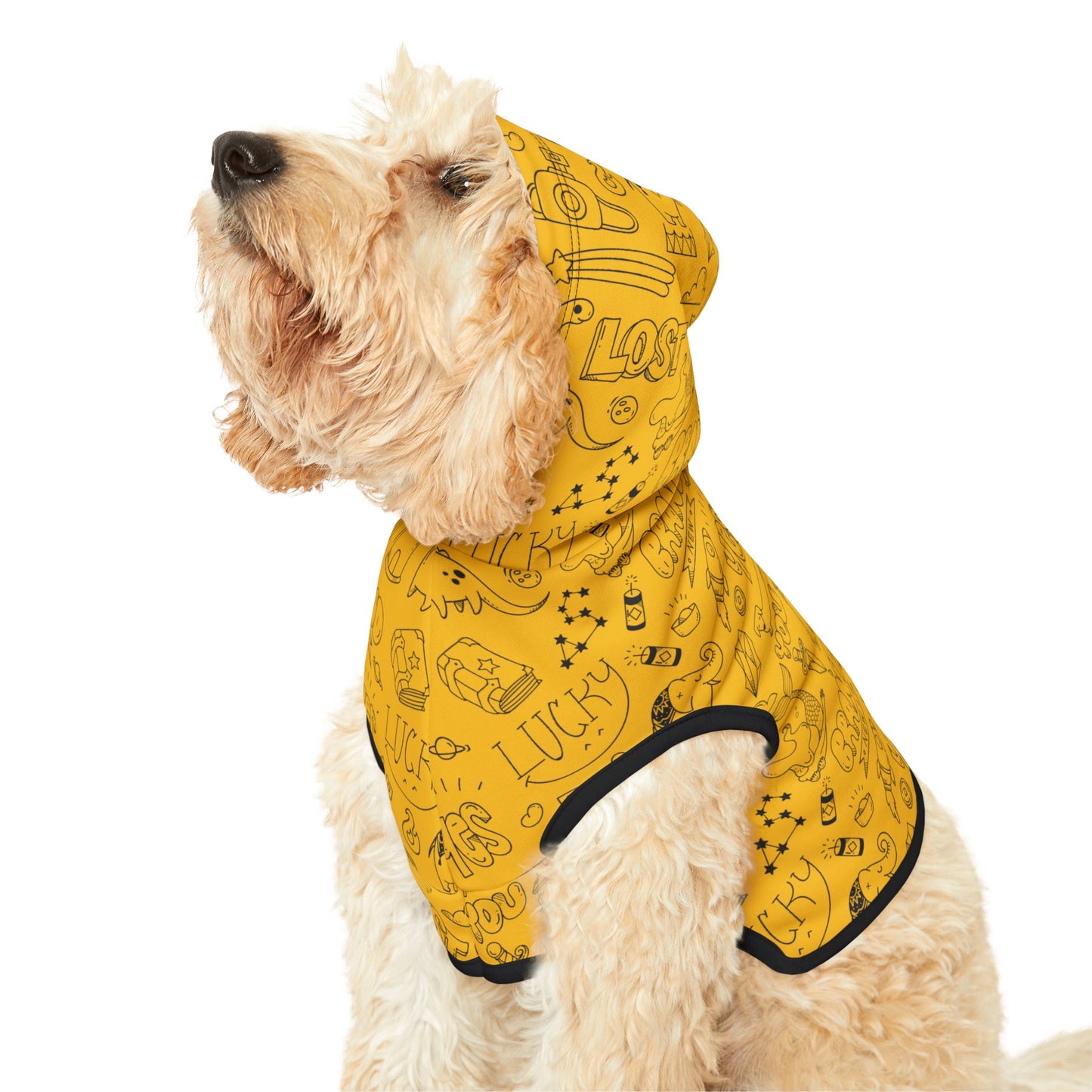 Doodle Pet Hoodie