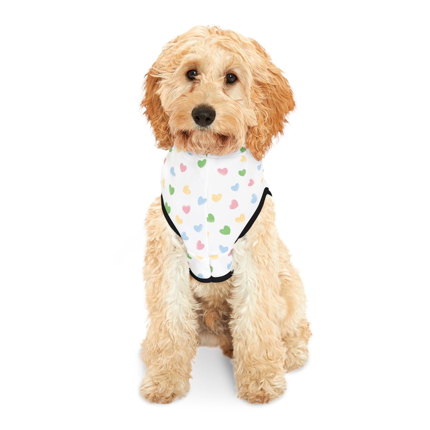 Hearts Pet Hoodie