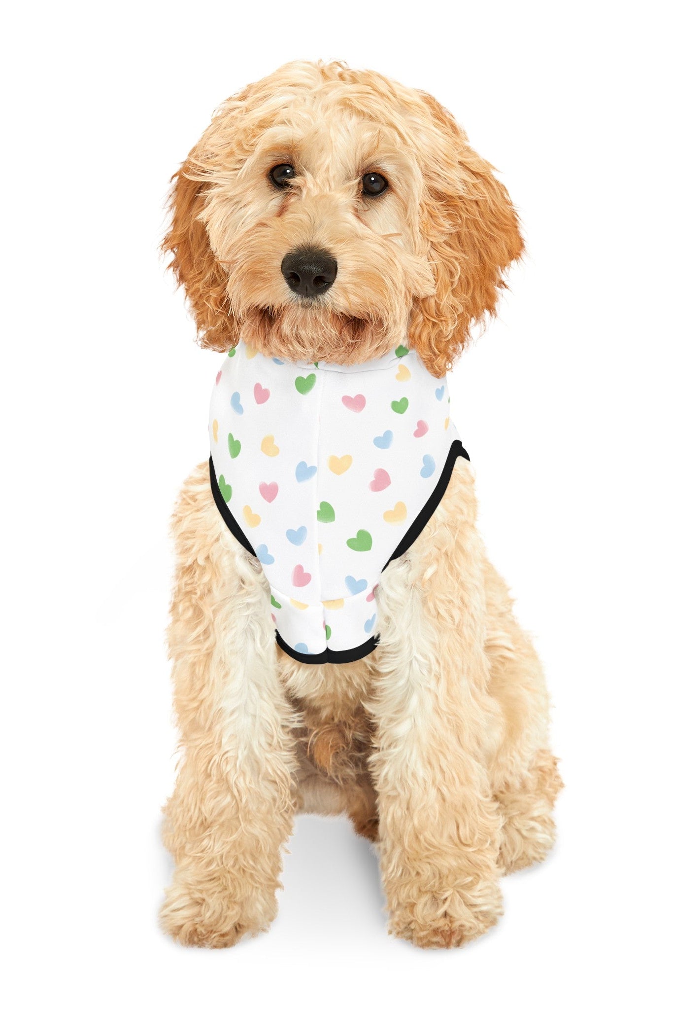 Dog wearing white colorful hearts pet hoodie sitting studio front view