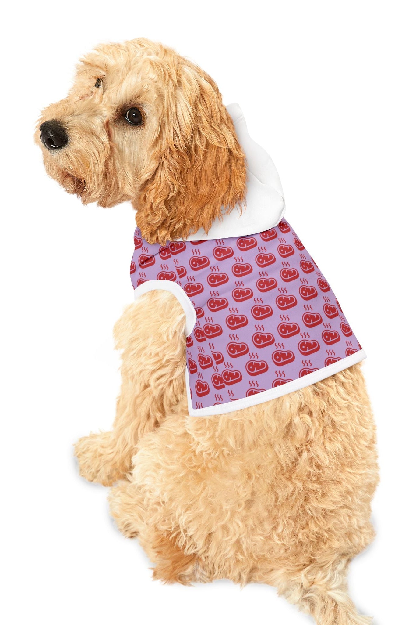 Dog wearing pink beef pattern hoodie sitting side profile