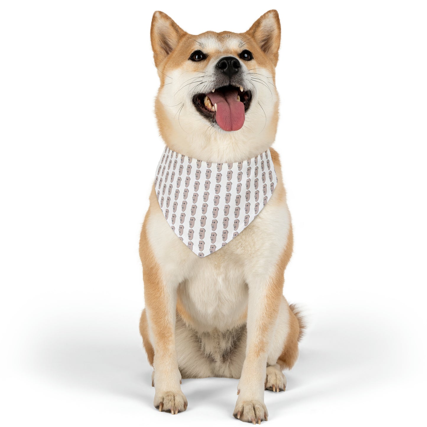 Charlie Pet Bandana Collar