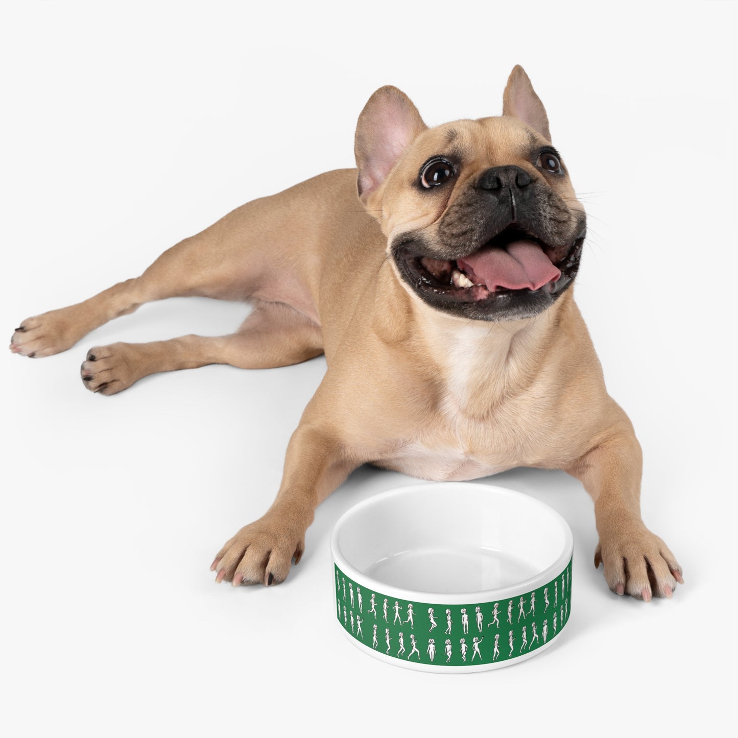 French Bulldog lying beside green ceramic pet bowl with Running Out design