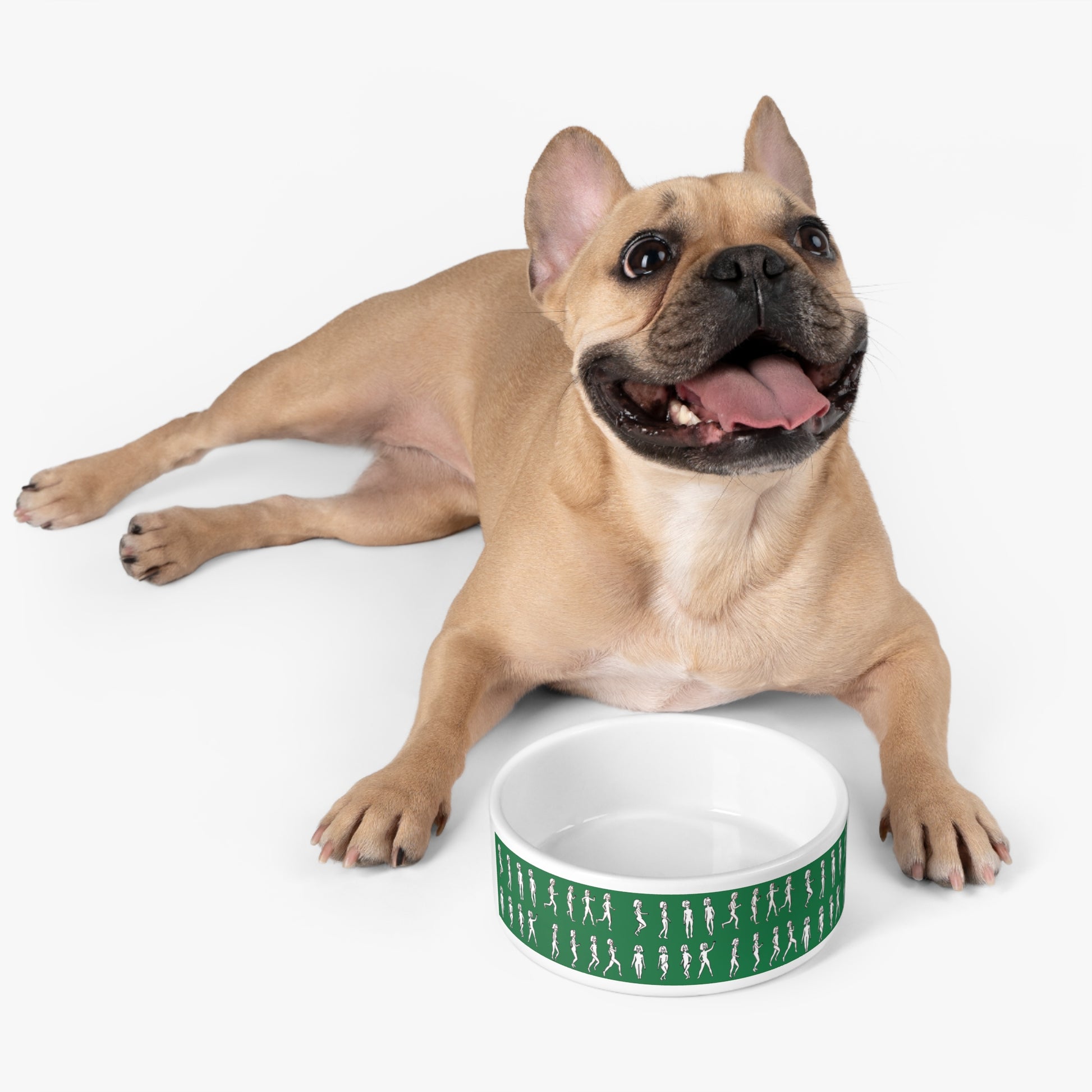 French Bulldog lying beside green ceramic pet bowl with Running Out design