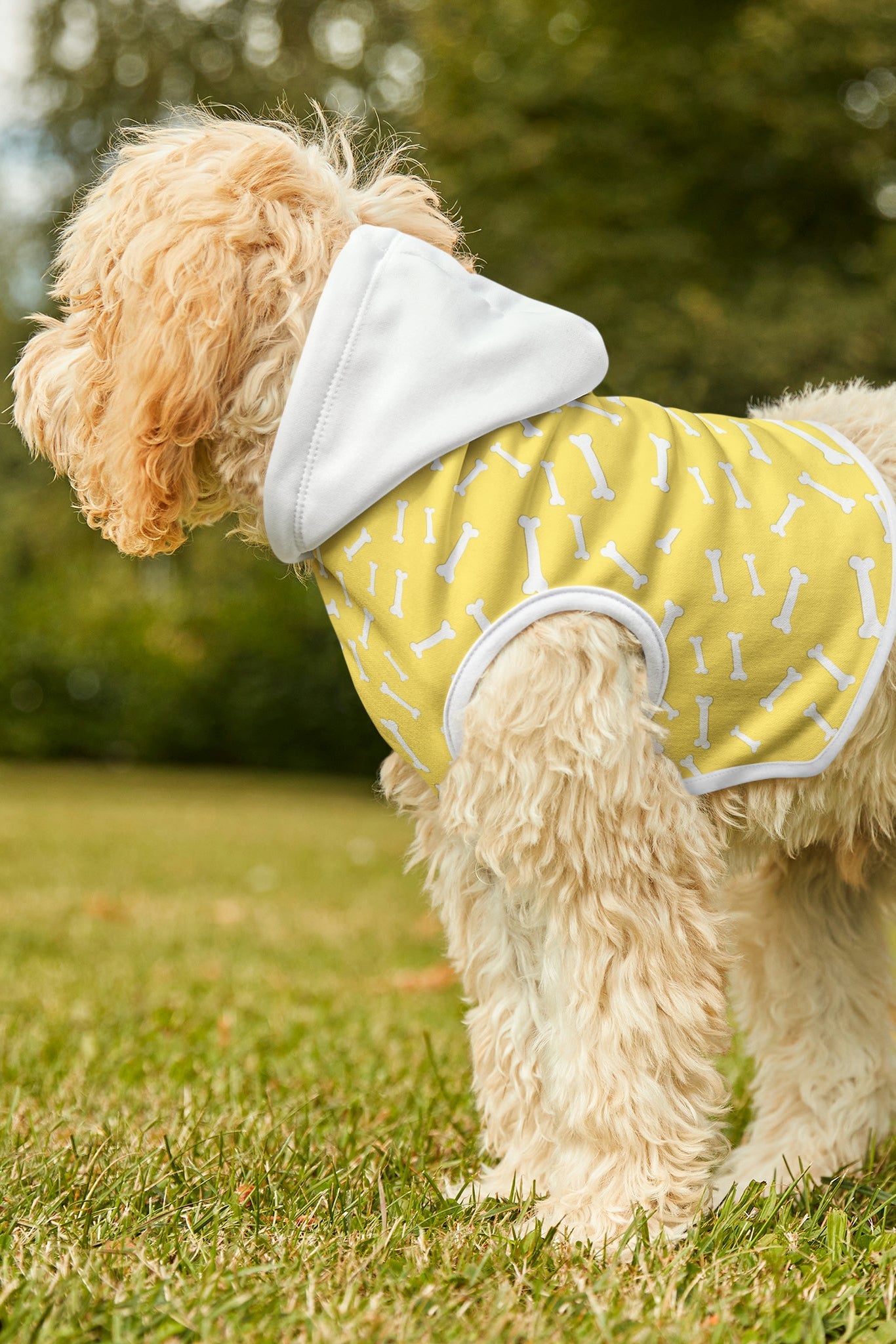 Dog wearing yellow bones pet hoodie walking outdoors side view