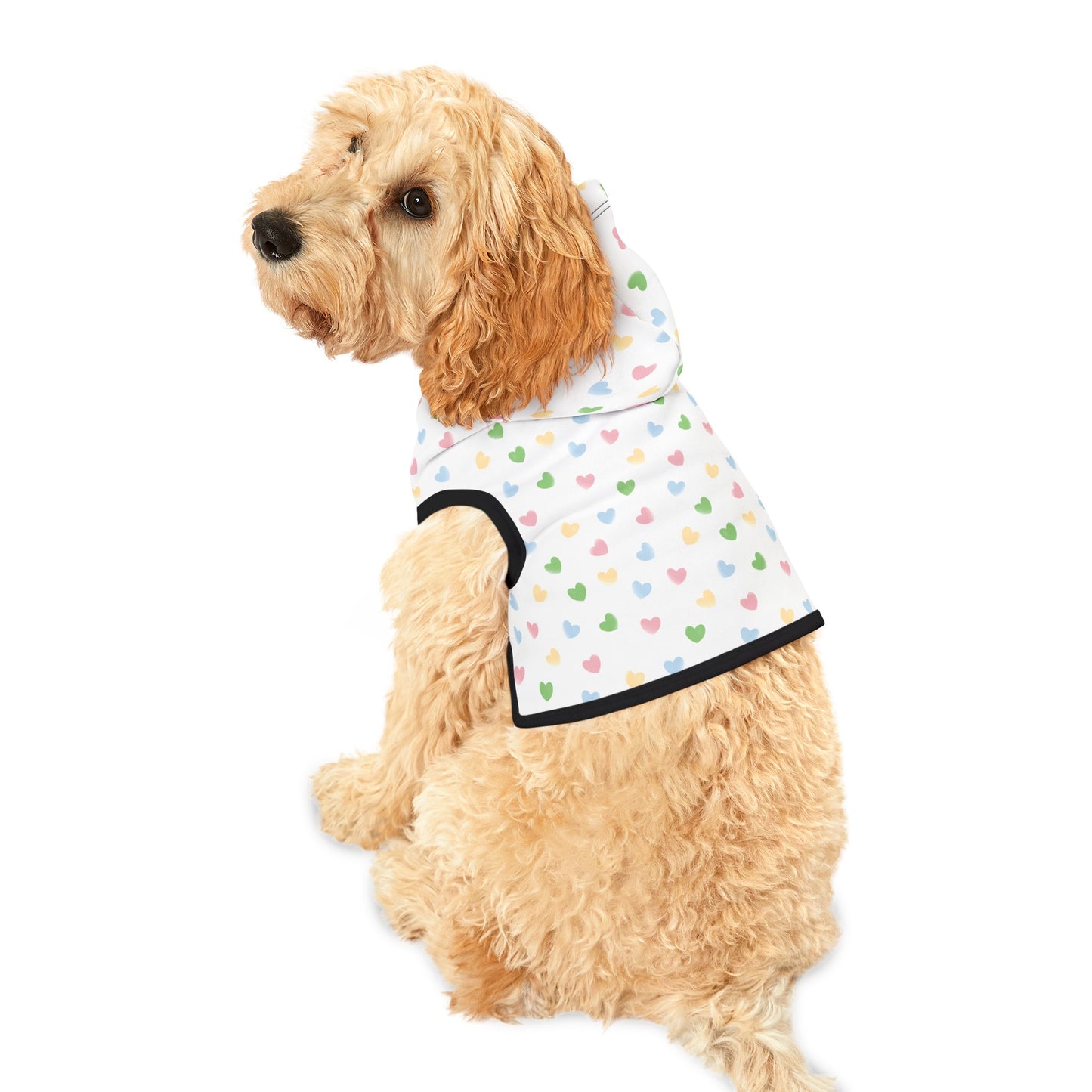Hearts Pet Hoodie