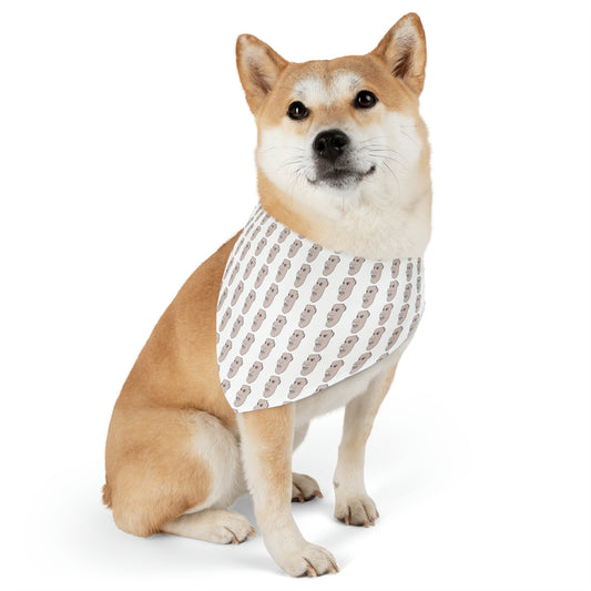 Charlie Pet Bandana Collar
