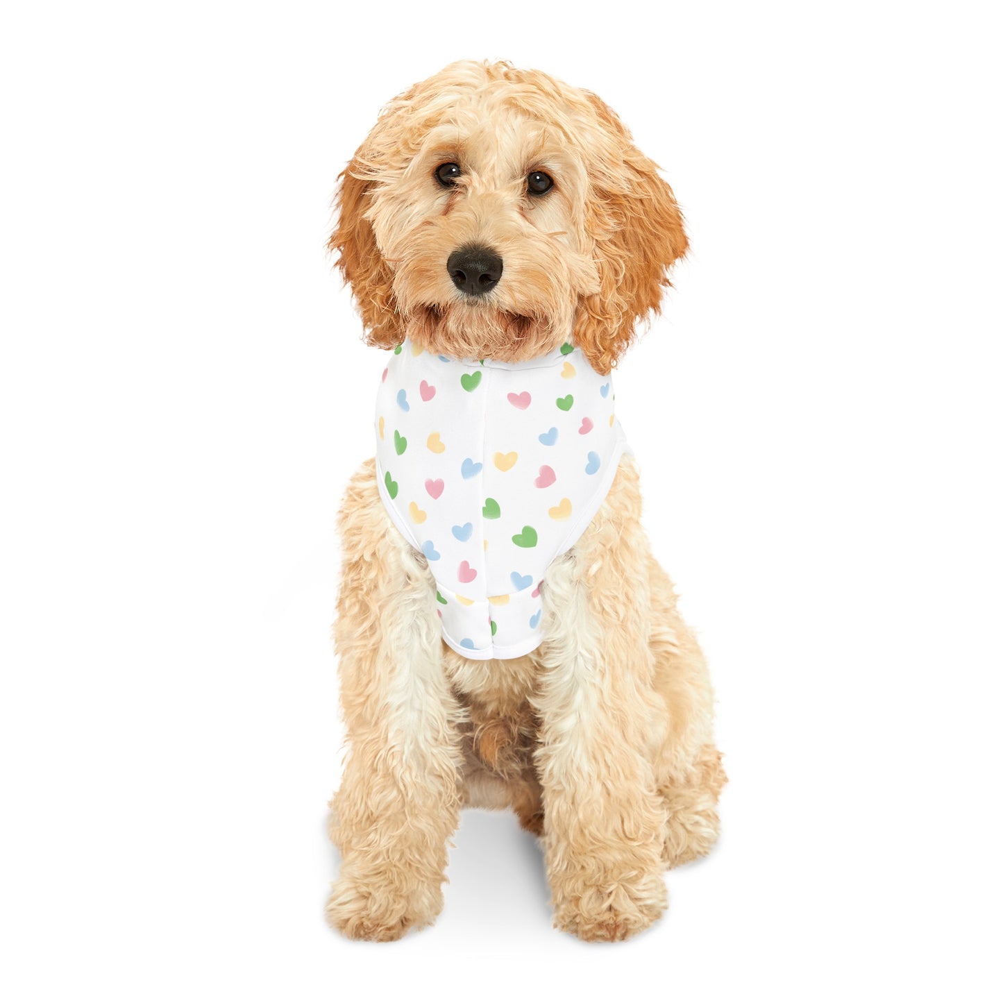 Hearts Pet Hoodie