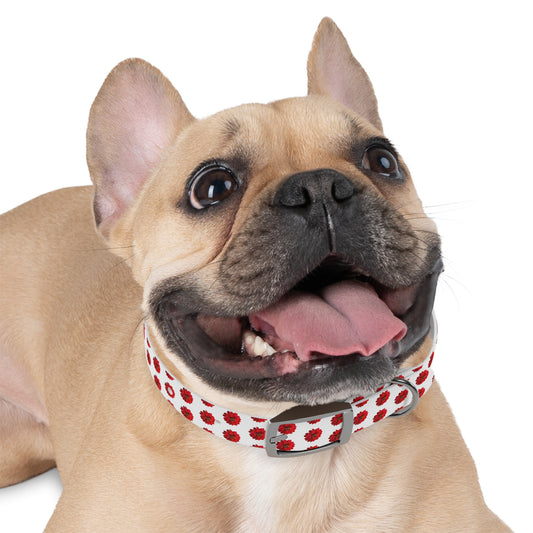 Dahlia Dog Collar