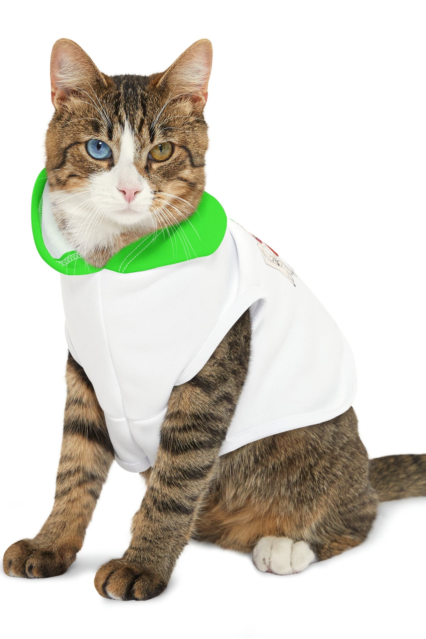 Cat wearing white scramble pet hoodie with green hood sitting