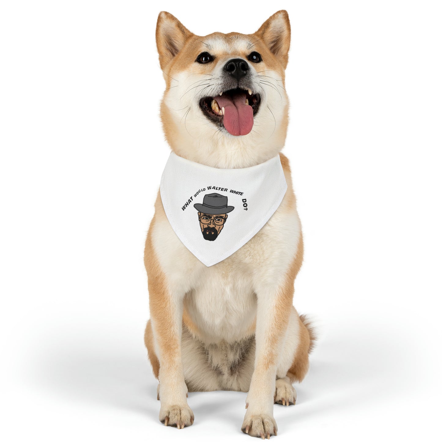 What Would Walter White Do? Pet Bandana Collar