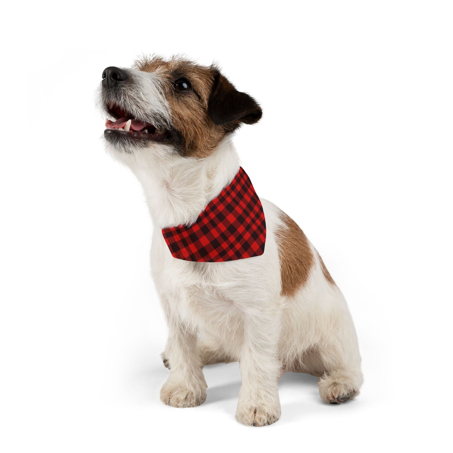 Red & Black Plaid Pattern - Pet Bandana Collar