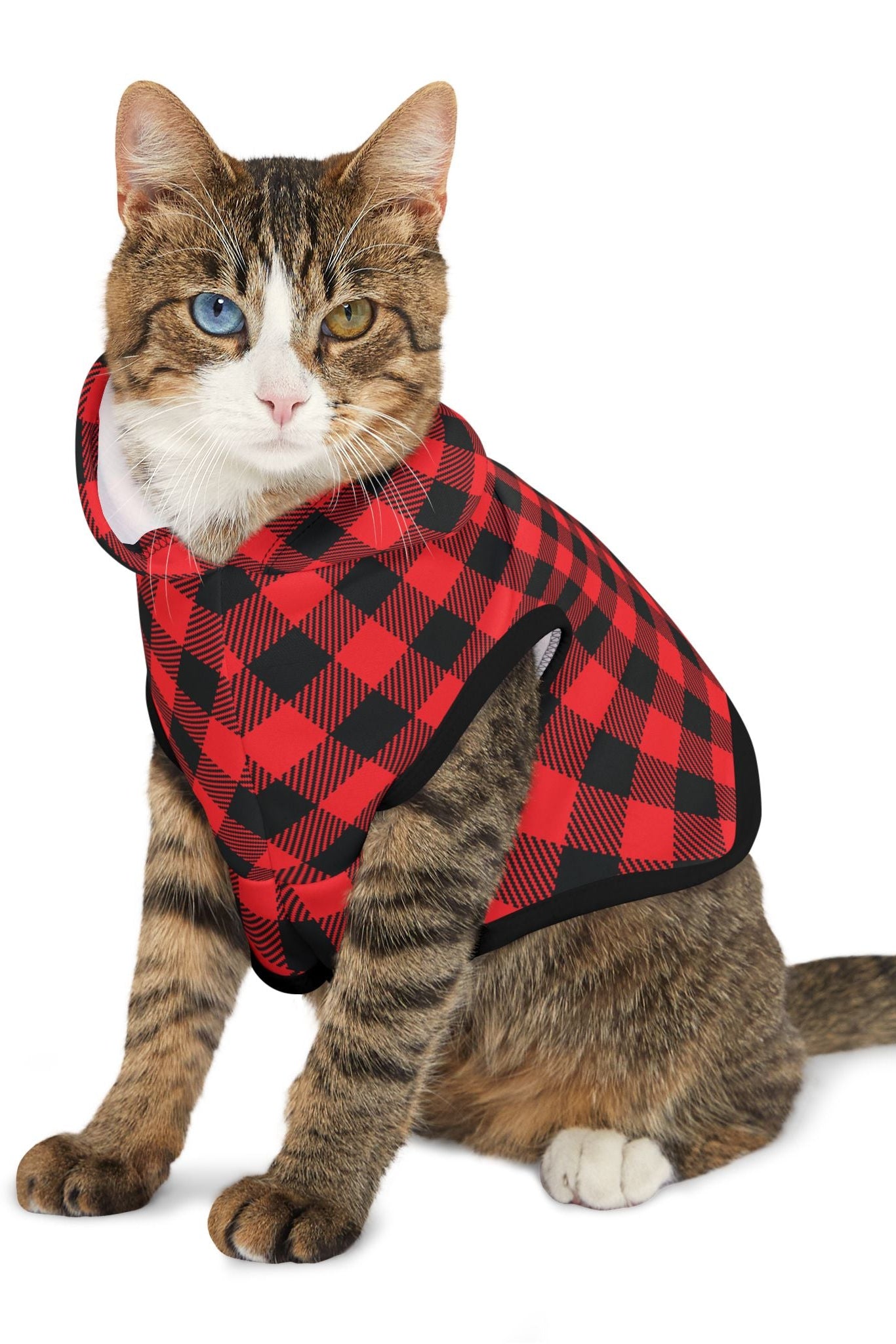 Cat wearing red buffalo plaid pet hoodie sitting front view