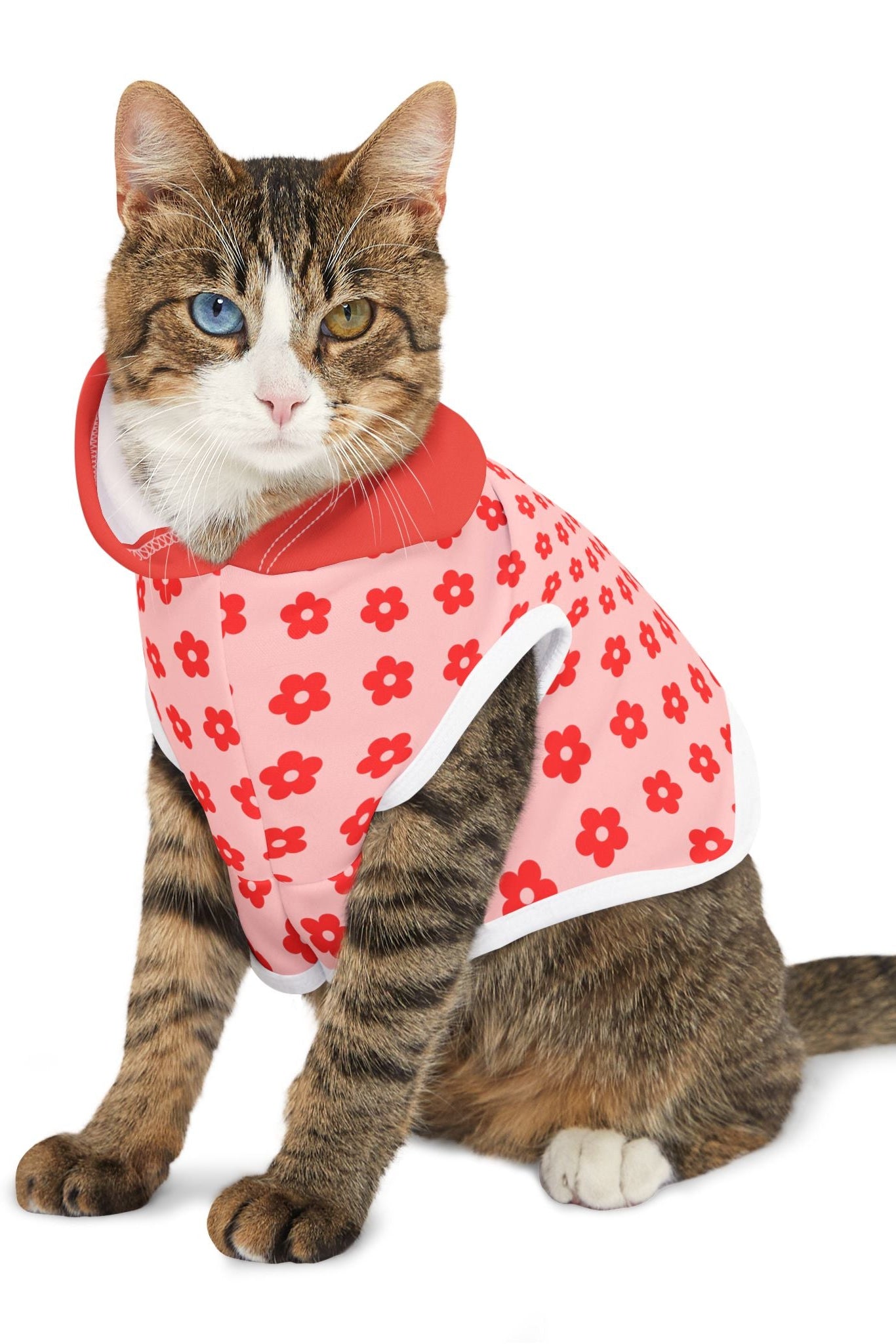 Cat wearing pink and red floral hoodie sitting