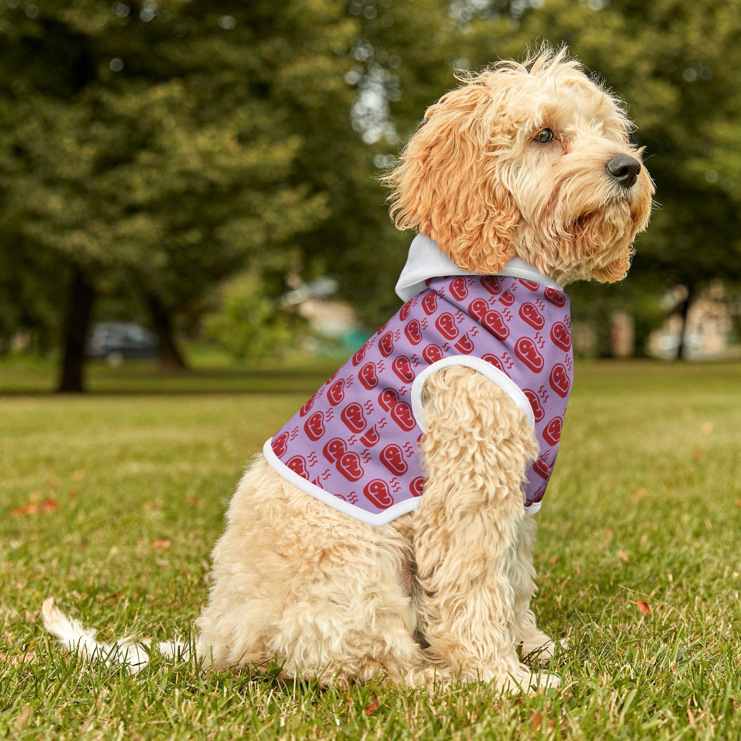 Beef Pet Hoodie