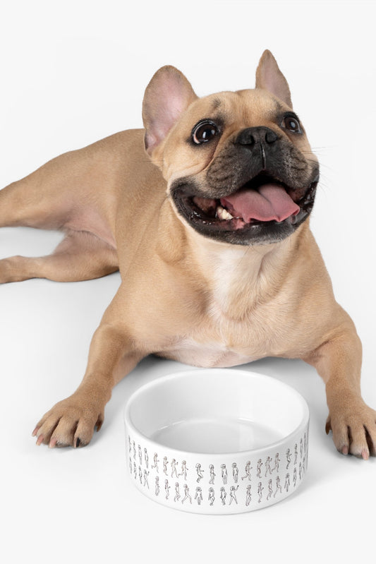 French bulldog lying down next to white ceramic running out pet bowl