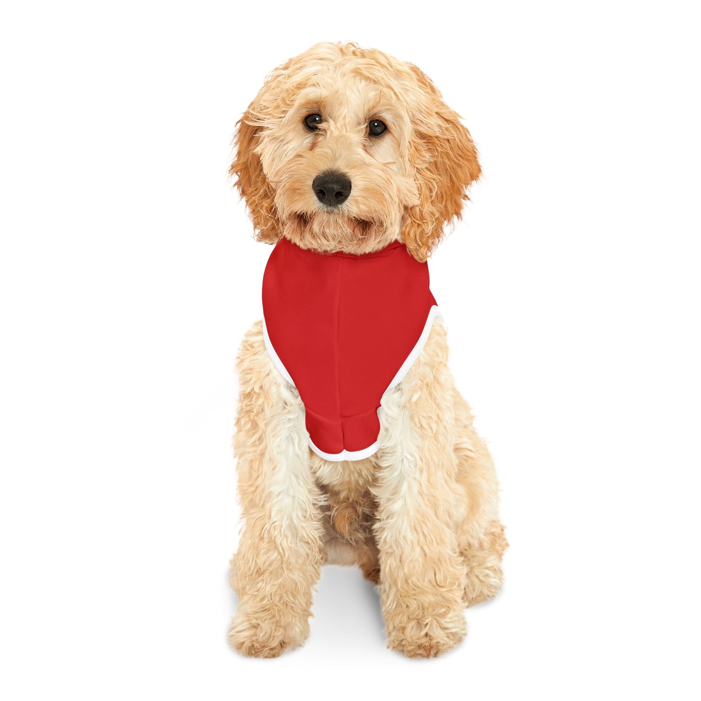Small dog sitting on grass wearing red cartoon bulldog pet hoodie