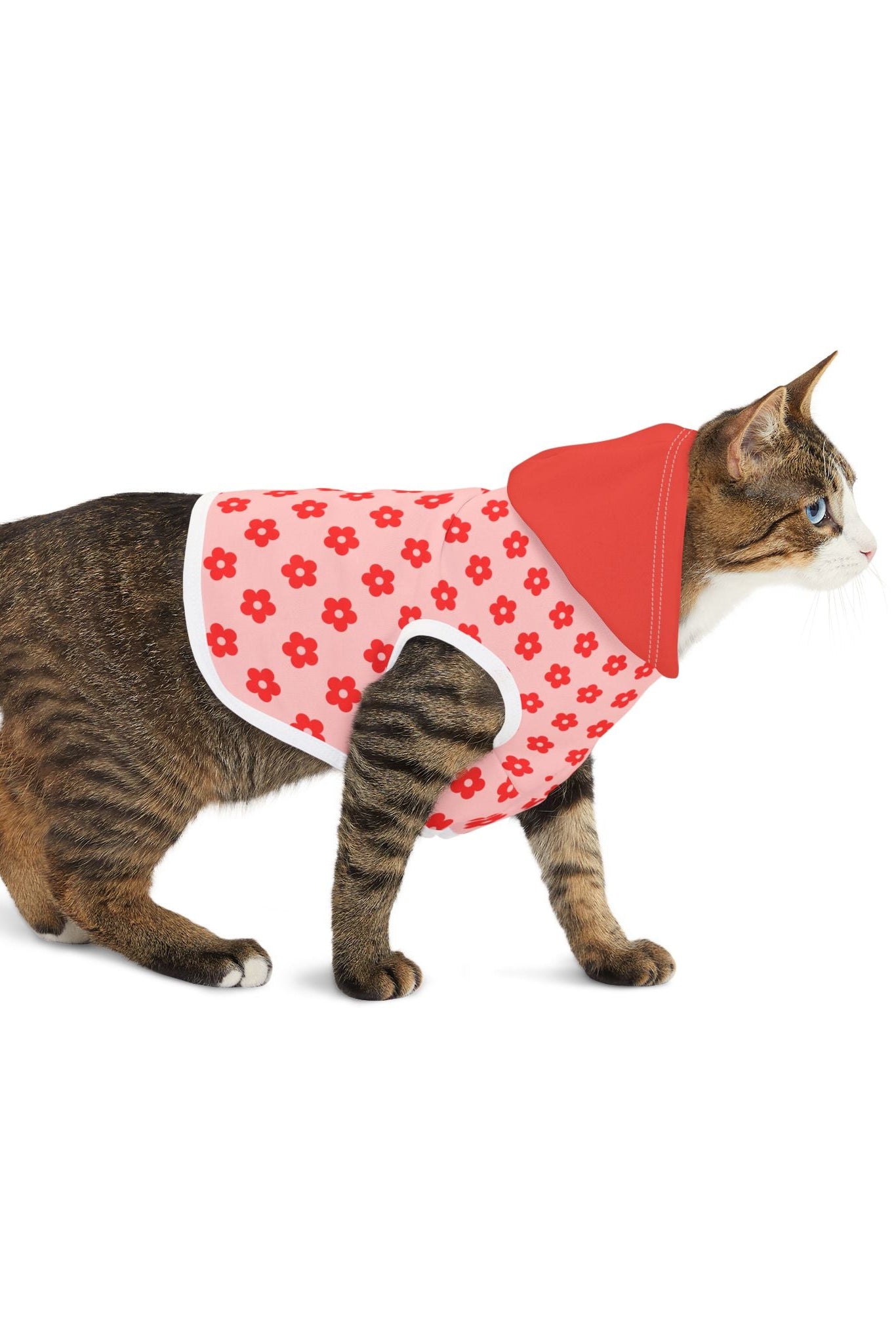 Cat wearing pink and red floral hoodie walking side view