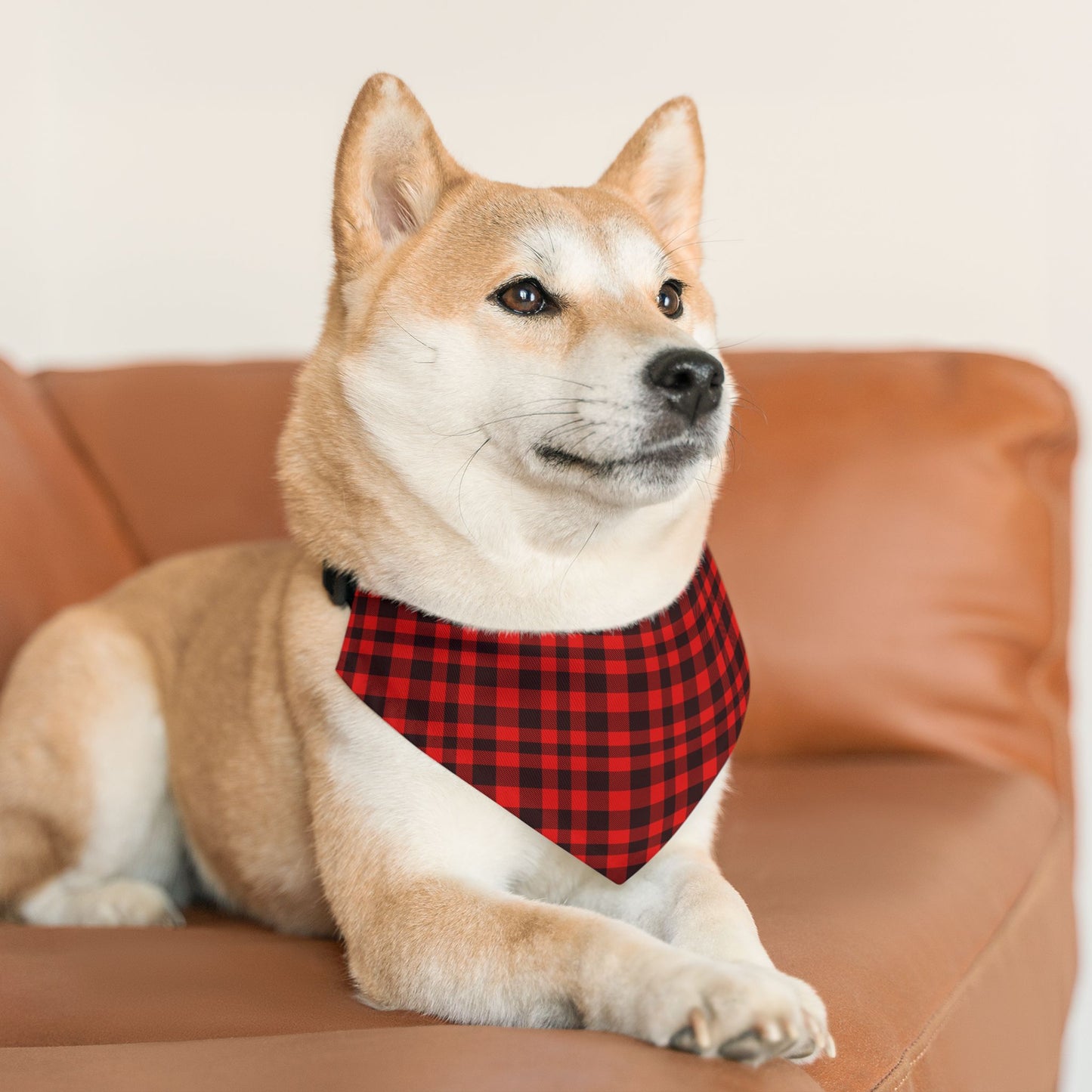 Red & Black Plaid Pattern - Pet Bandana Collar