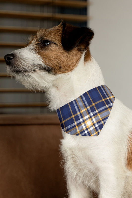 Dog wearing blue plaid pet bandana collar sitting indoors side profile