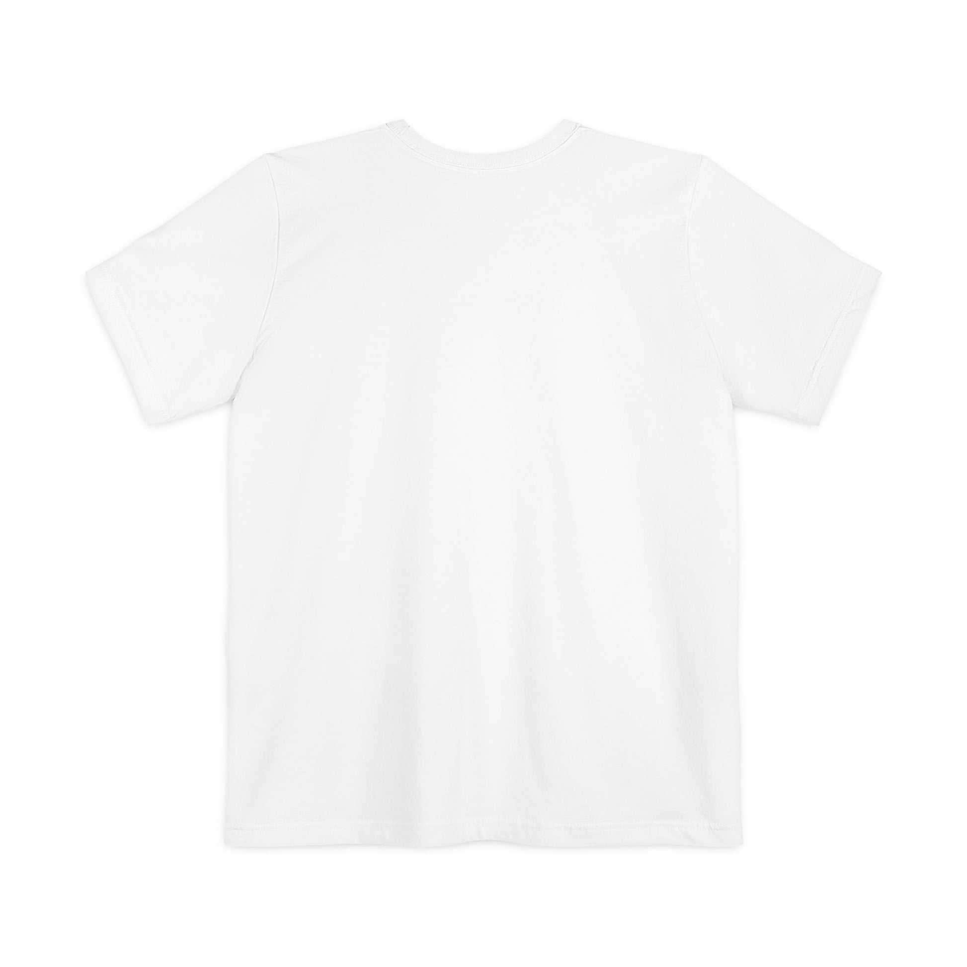 Flat lay of Proudly Introverted Pocket T-Shirt plain back view