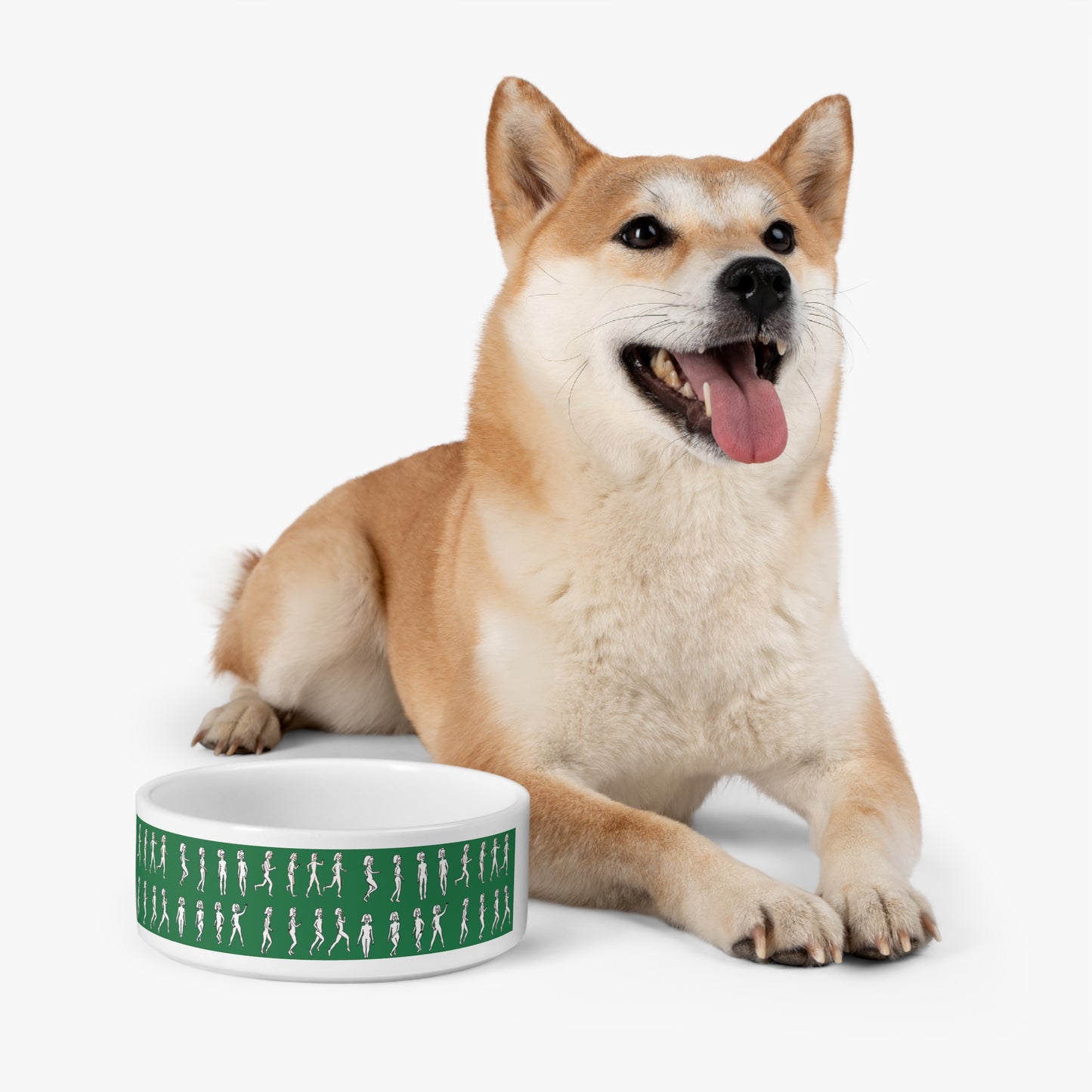 Shiba Inu sitting next to green ceramic pet bowl with Running Out design