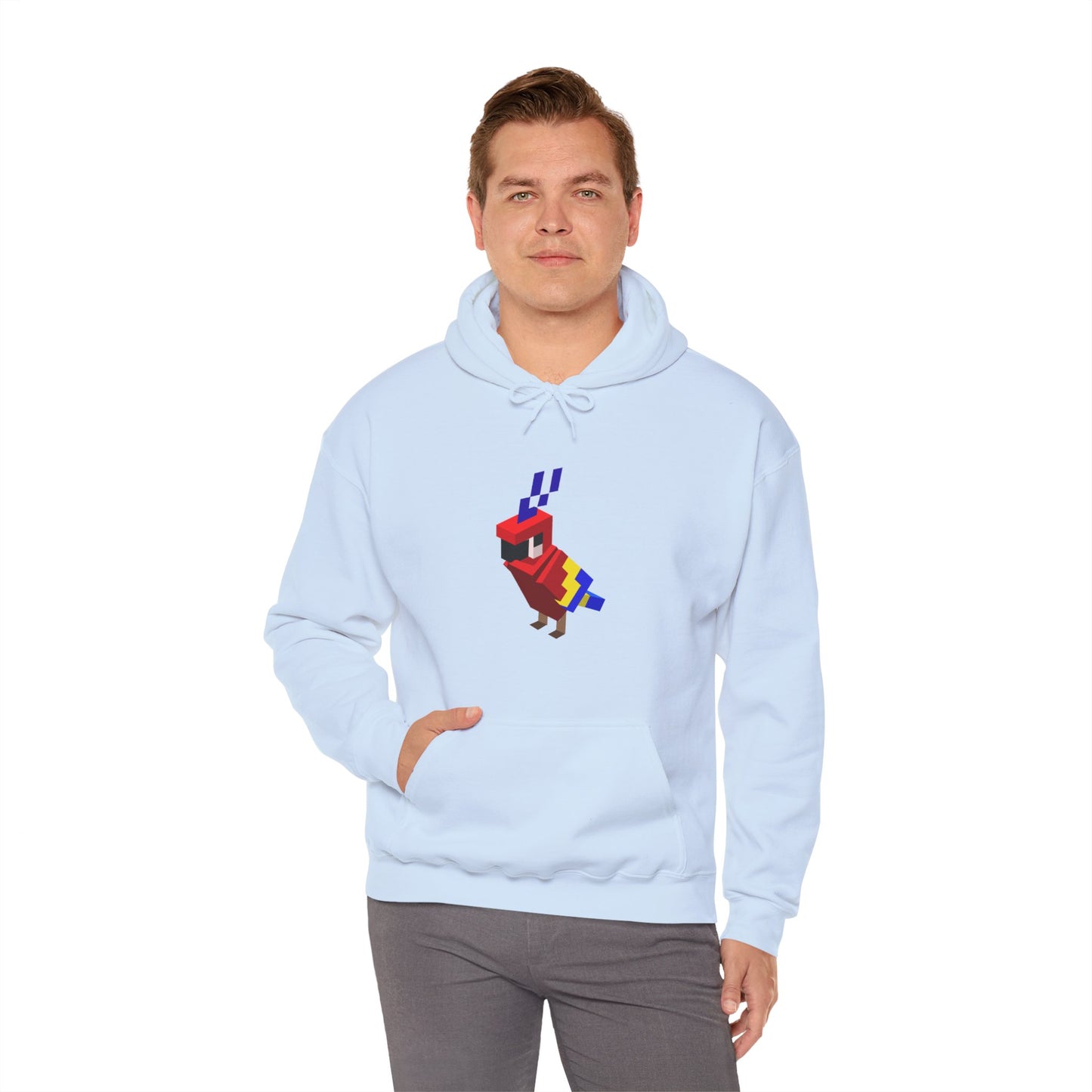 Arcade Parrot Hooded Sweatshirt – Retro Gaming Hoodie worn by model in light blue