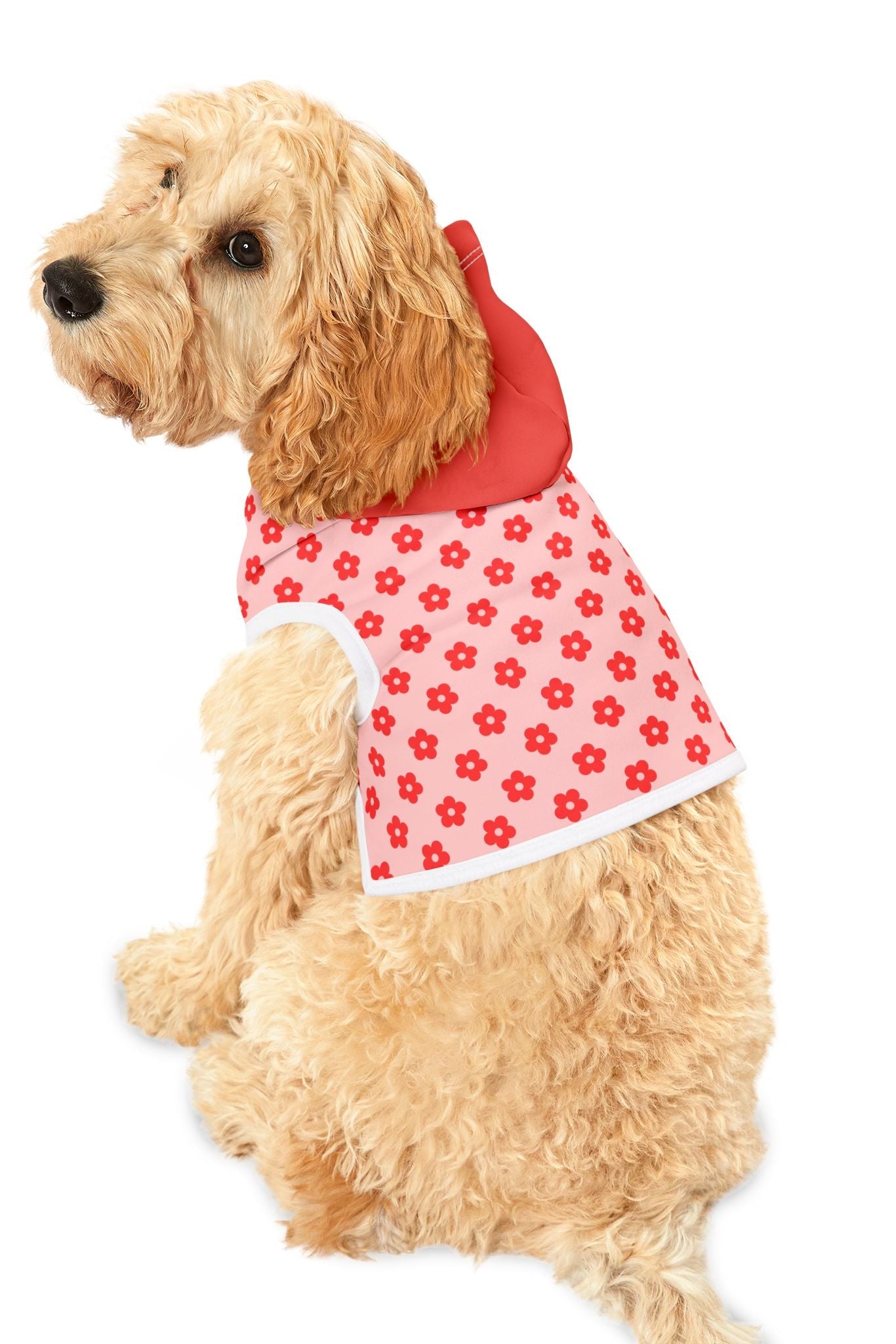 Dog wearing pink and red floral hoodie side profile