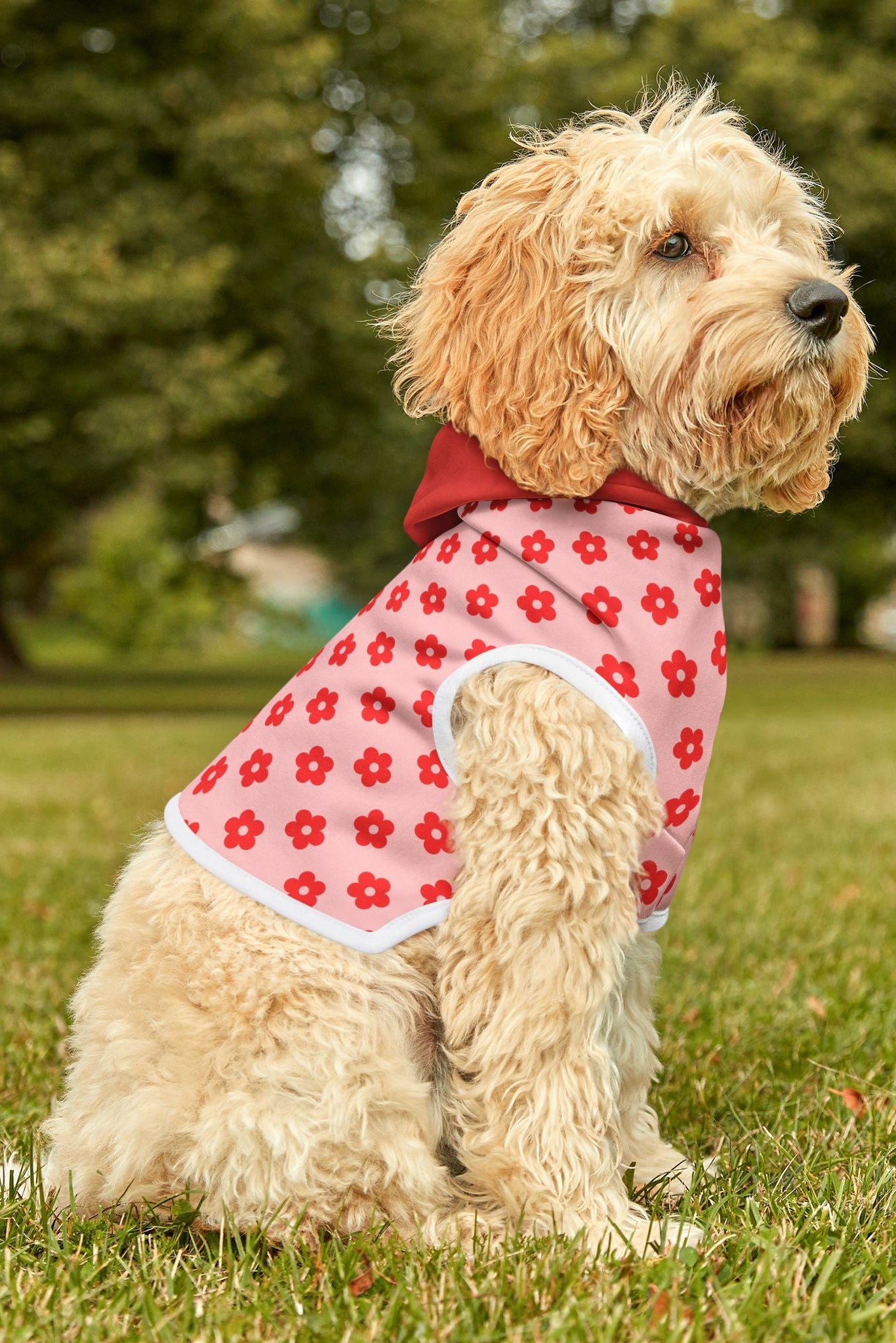 Dog wearing pink and red floral pet hoodie sitting on grass in park