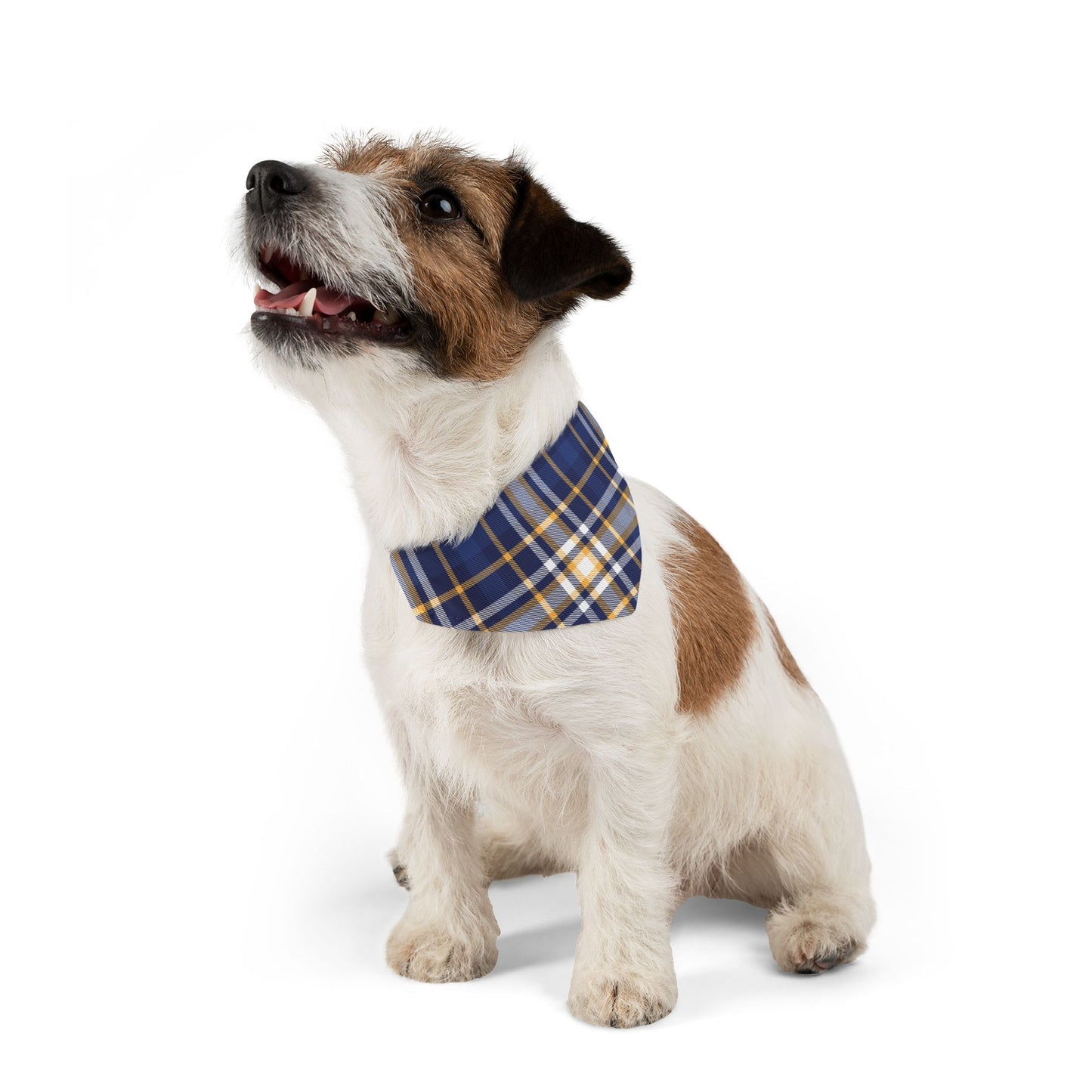 Blue Plaid Pattern - Pet Bandana Collar