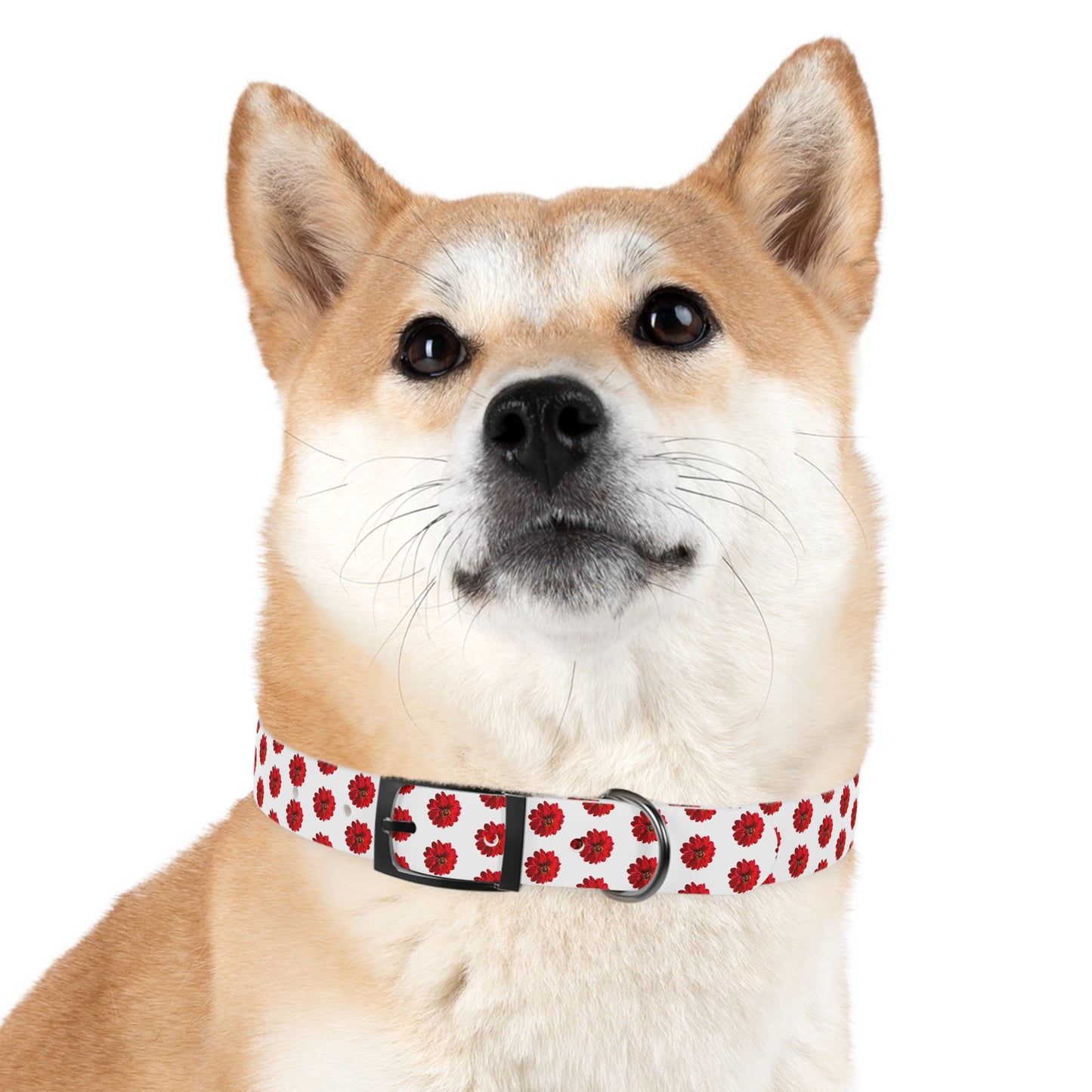 Dahlia Dog Collar