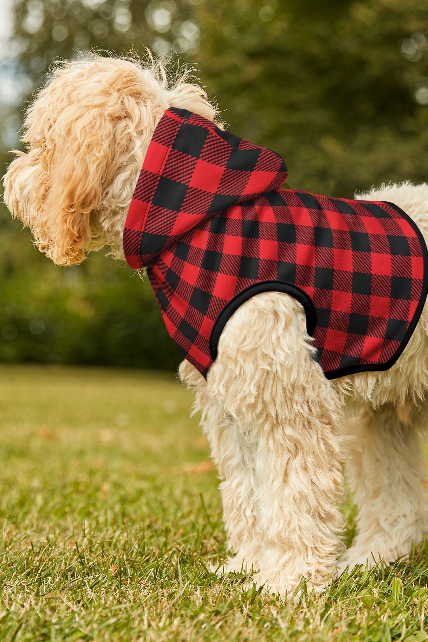 Dog wearing red buffalo plaid hoodie sitting in yard with house background